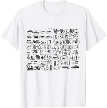 Insects Species funny Bugs Vintage Entomology Entomologist T-Shirt