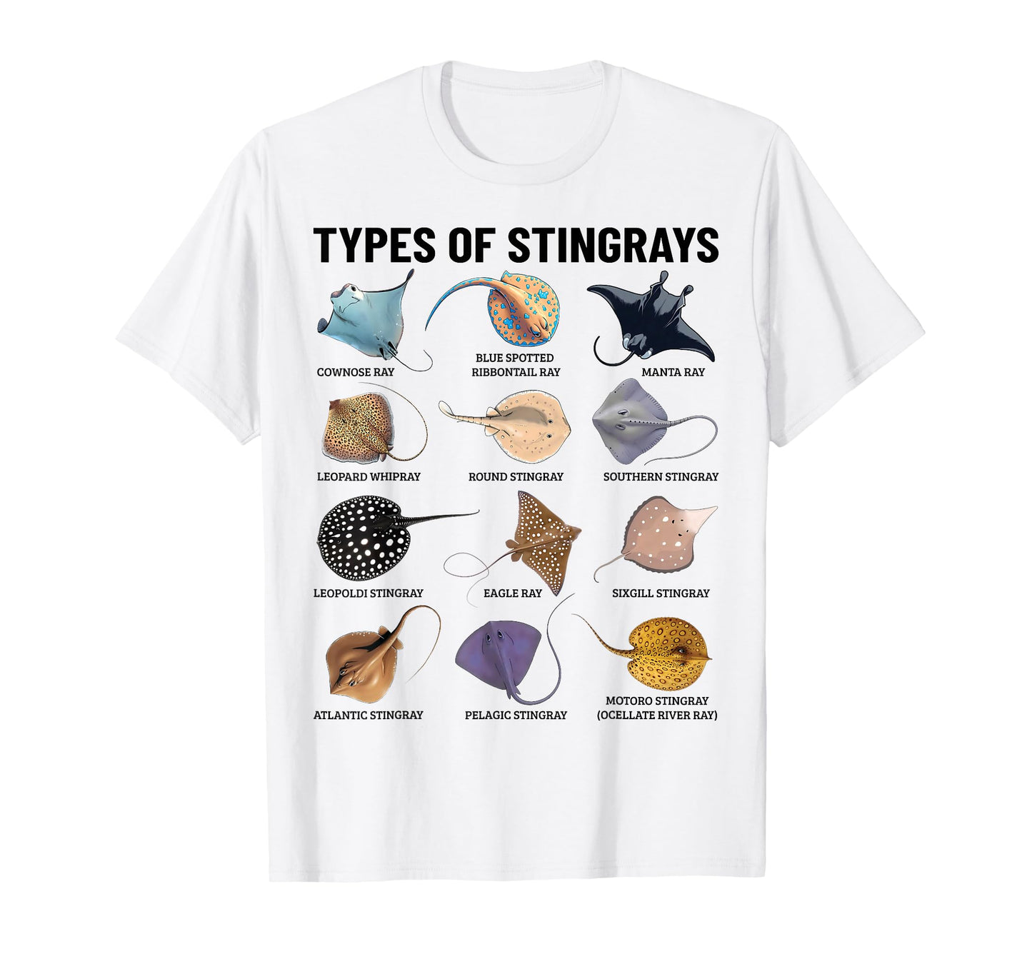 Types of Stingray Ocean Life Stingray Species Educational T-Shirt