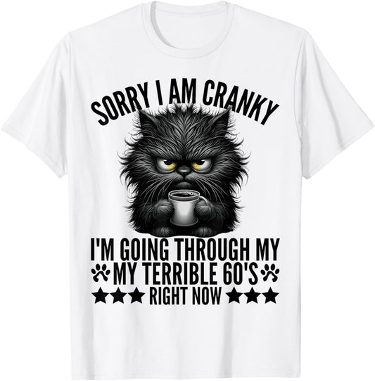 Sorry I'm Cranky I'm Going Through My Terrible 60's Fun Cat T-Shirt