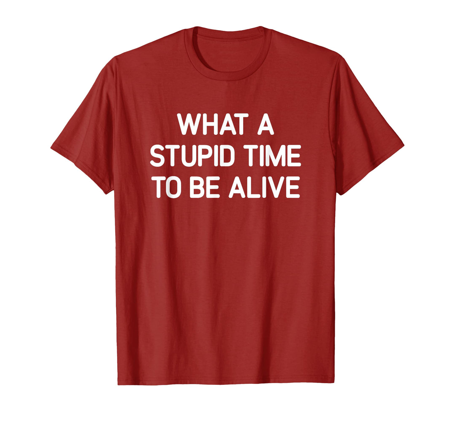 What A Stupid Time To Be Alive, Funny, Jokes, Sarcastic T-Shirt