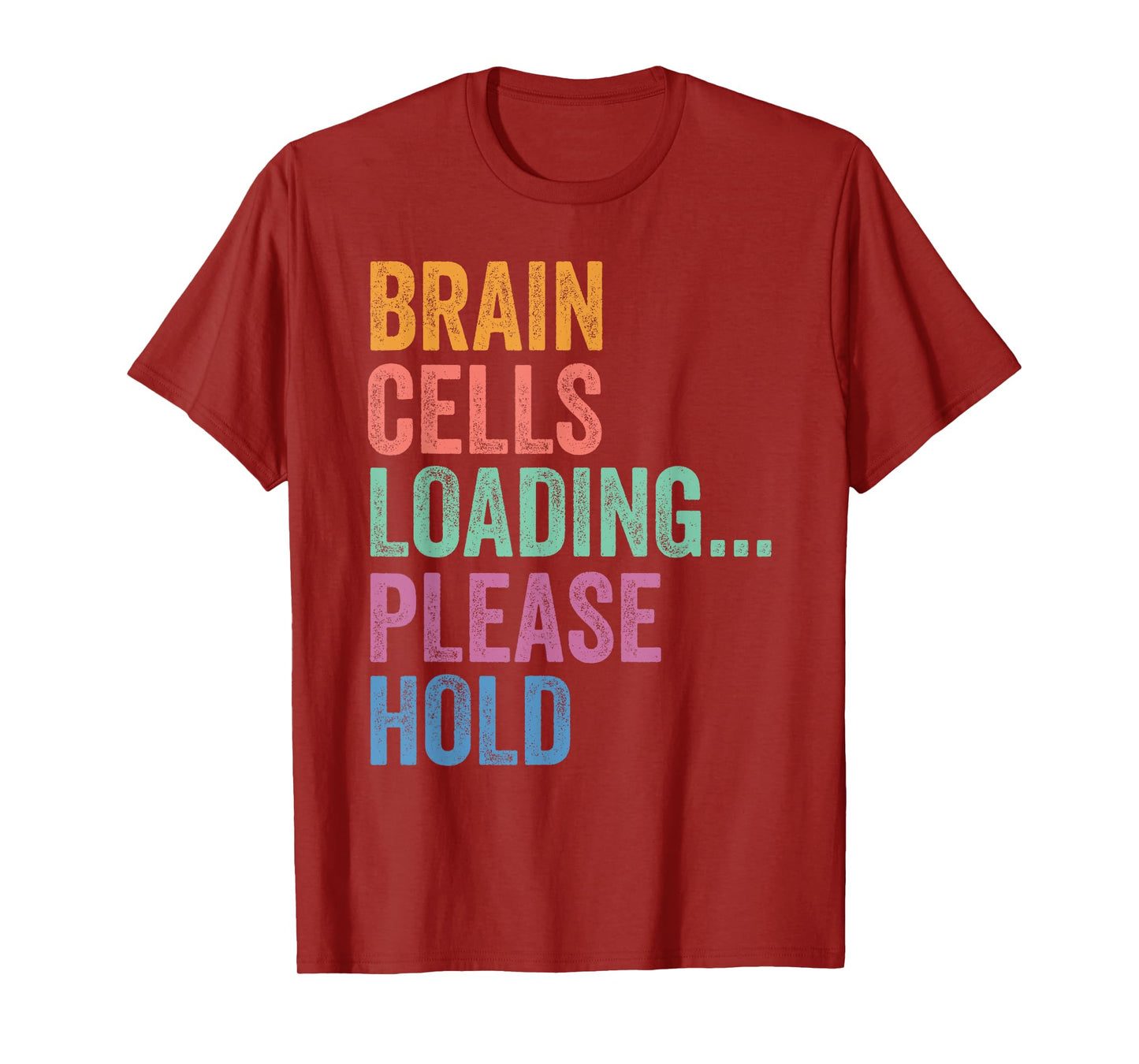 Gen Z Alpha Back To School Brain Cells Loading Please Hold T-Shirt