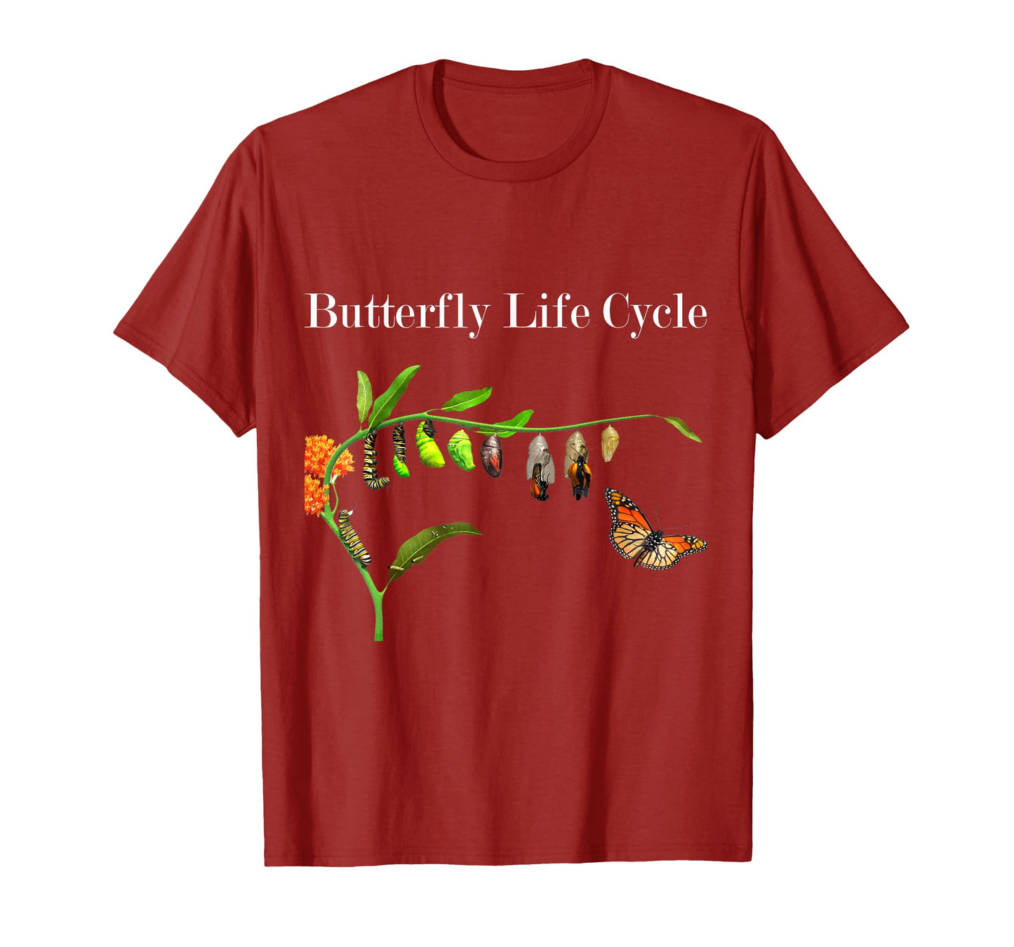 Butterfly Life Cycle Butterflies Natural Sciences Lover T-Shirt