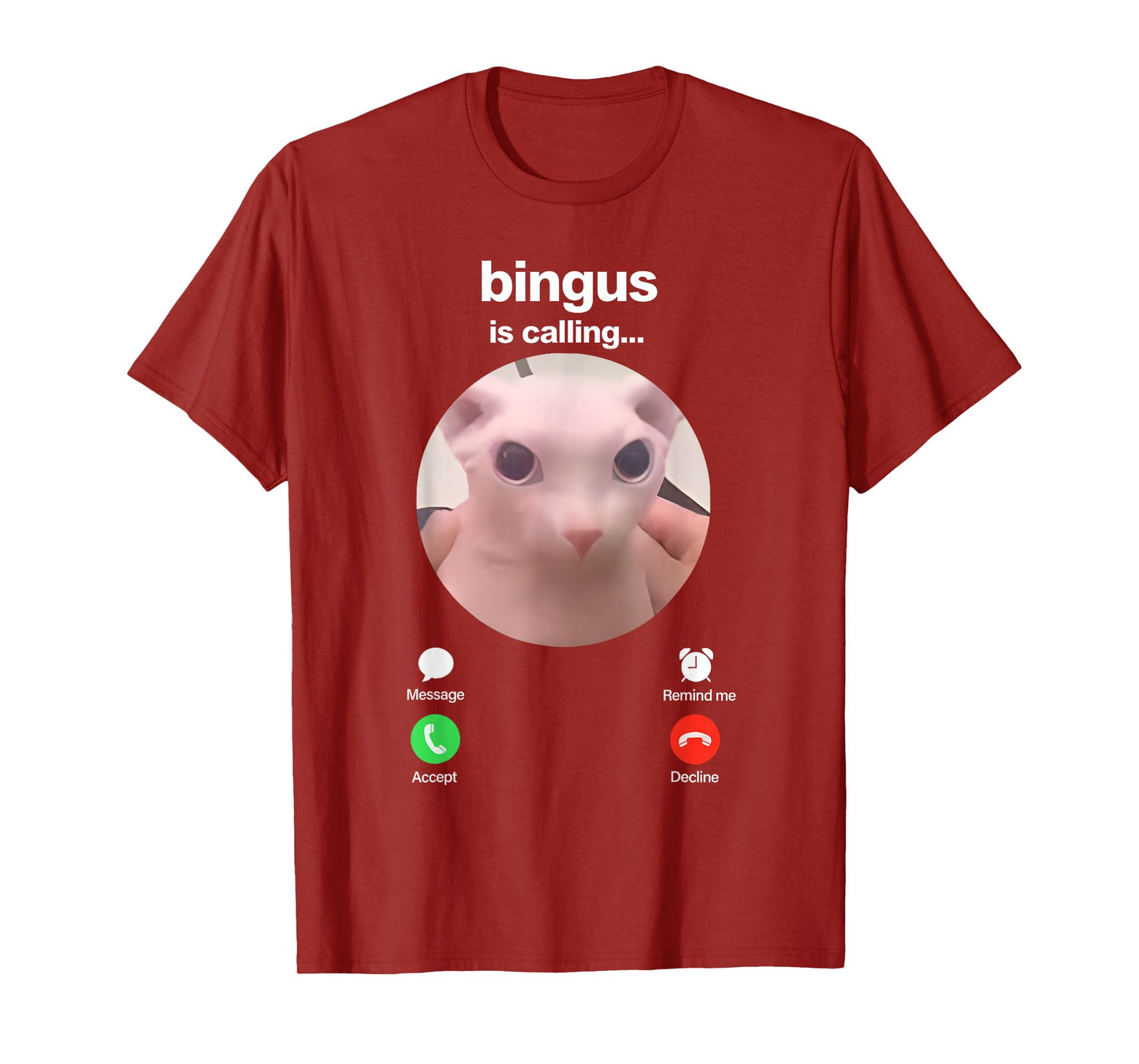 Bingus is Calling Hairless Sphinx Cat Bingus Cat Meme Gen Z T-Shirt