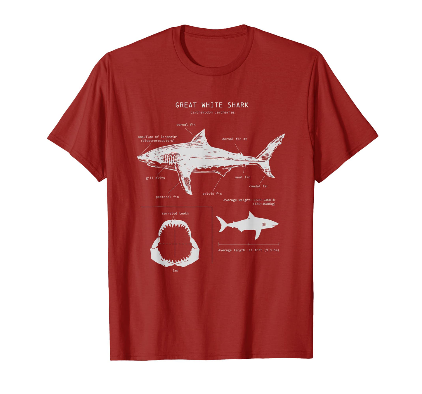 Great White Shark Anatomy , Marine Biologist T-Shirt