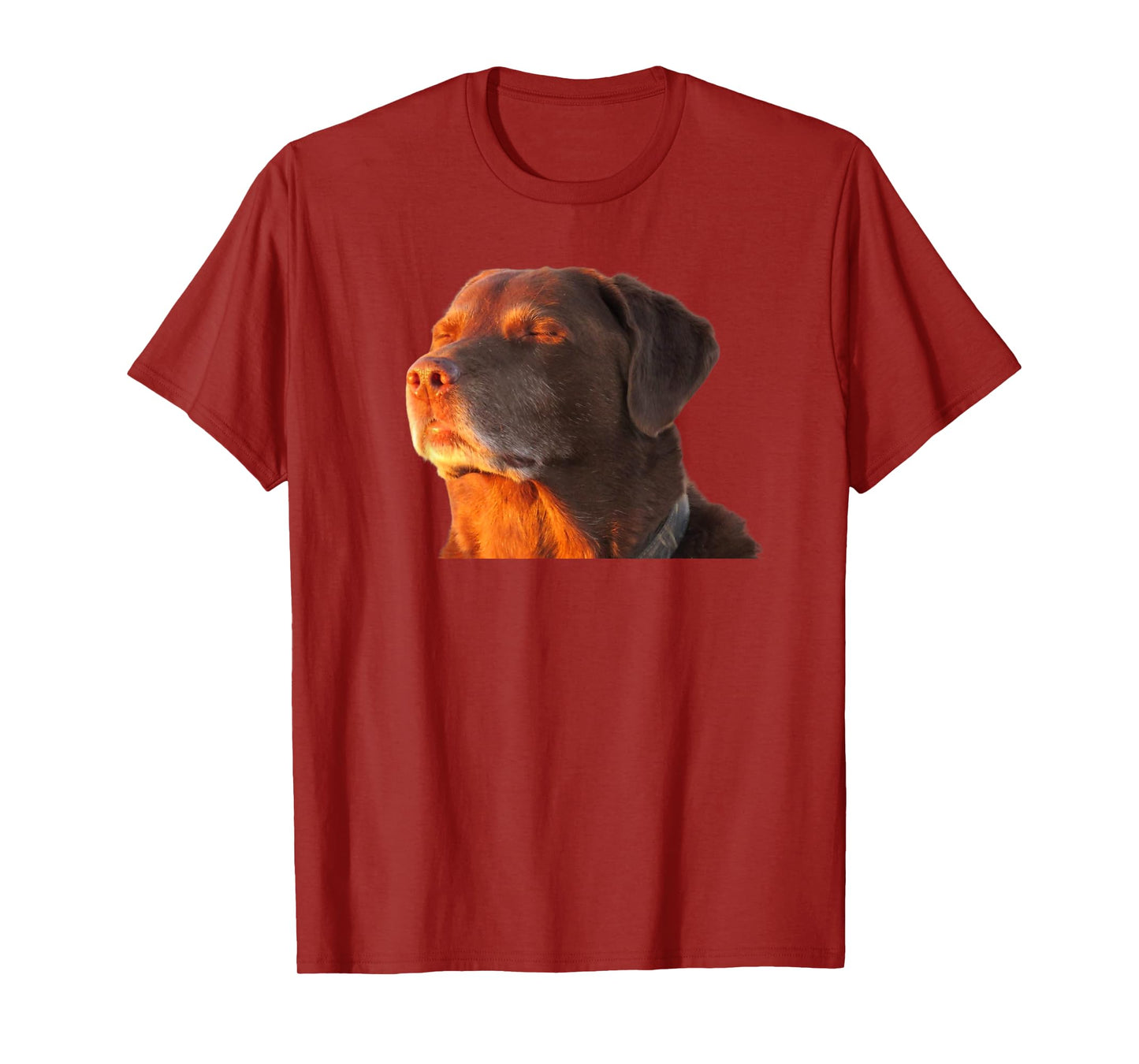Cooked Dog Accepting Fate Closing His Eyes Funny Dog Meme T-Shirt