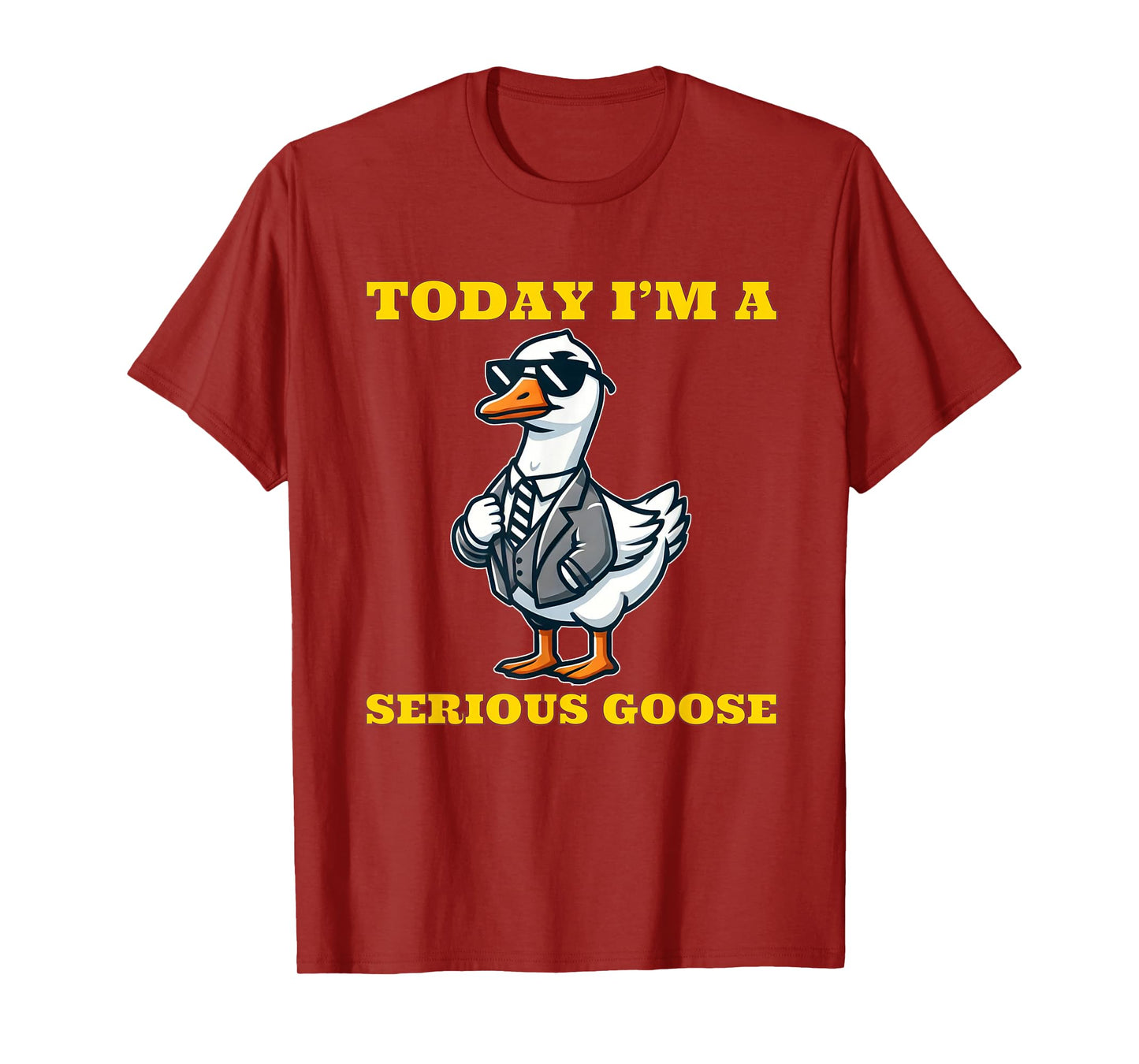 Today I'm a Serious Goose Funny Silly Goose T-Shirt