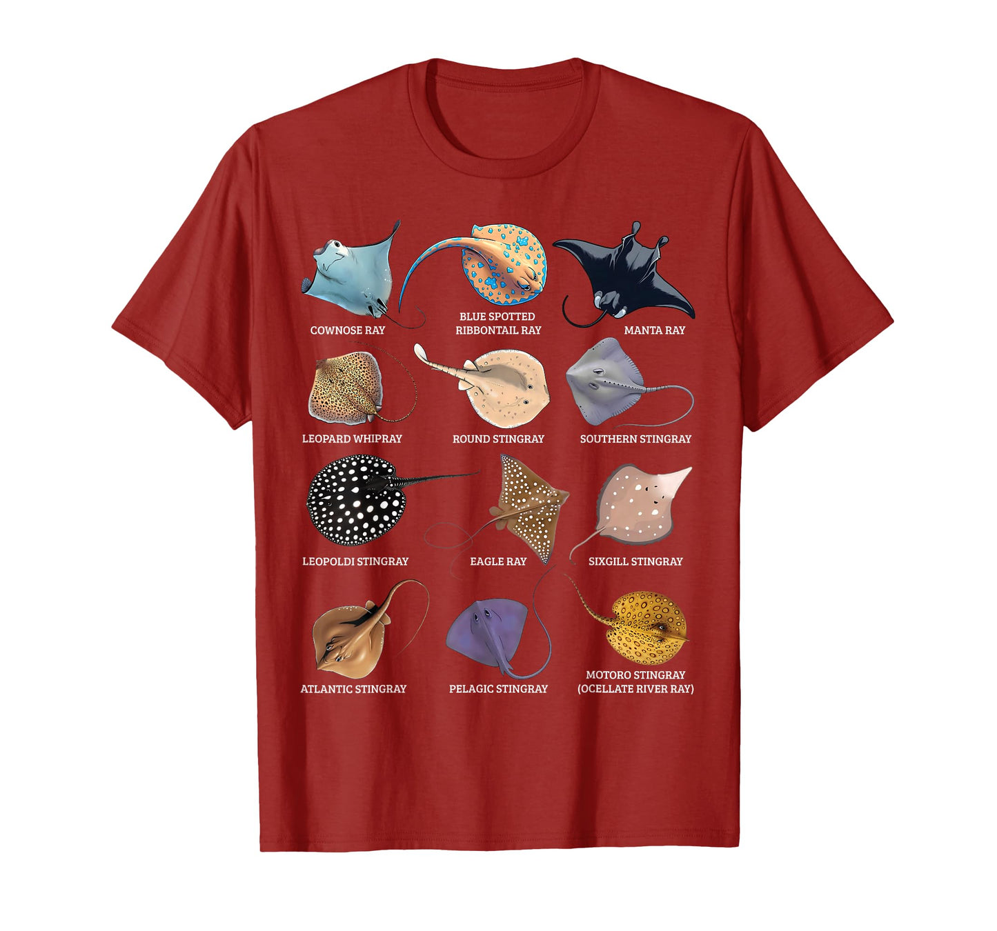 Types of Stingray Ocean Life Stingray Species Educational T-Shirt