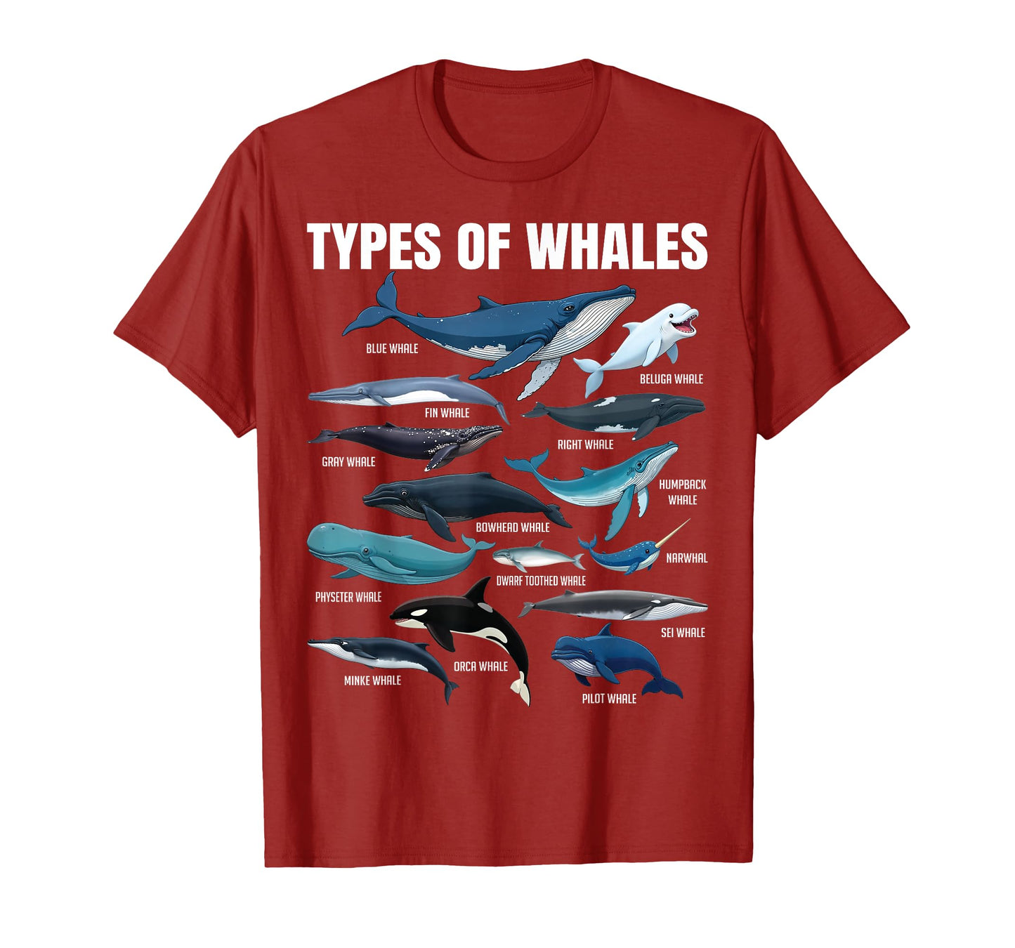 Types of Whales Educational Marine Life Enthusiast Biologist T-Shirt