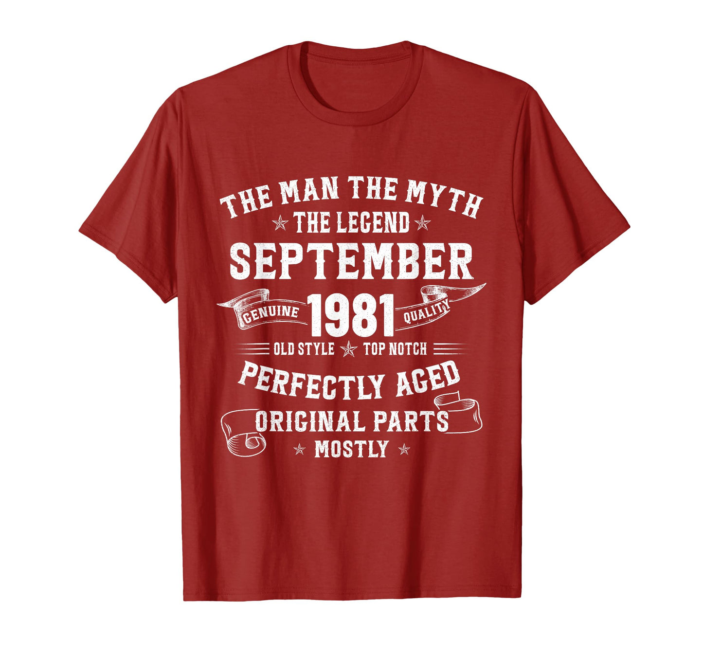 44 Year Old Birthday Gifts For Men September 1981 44th Bday T-Shirt
