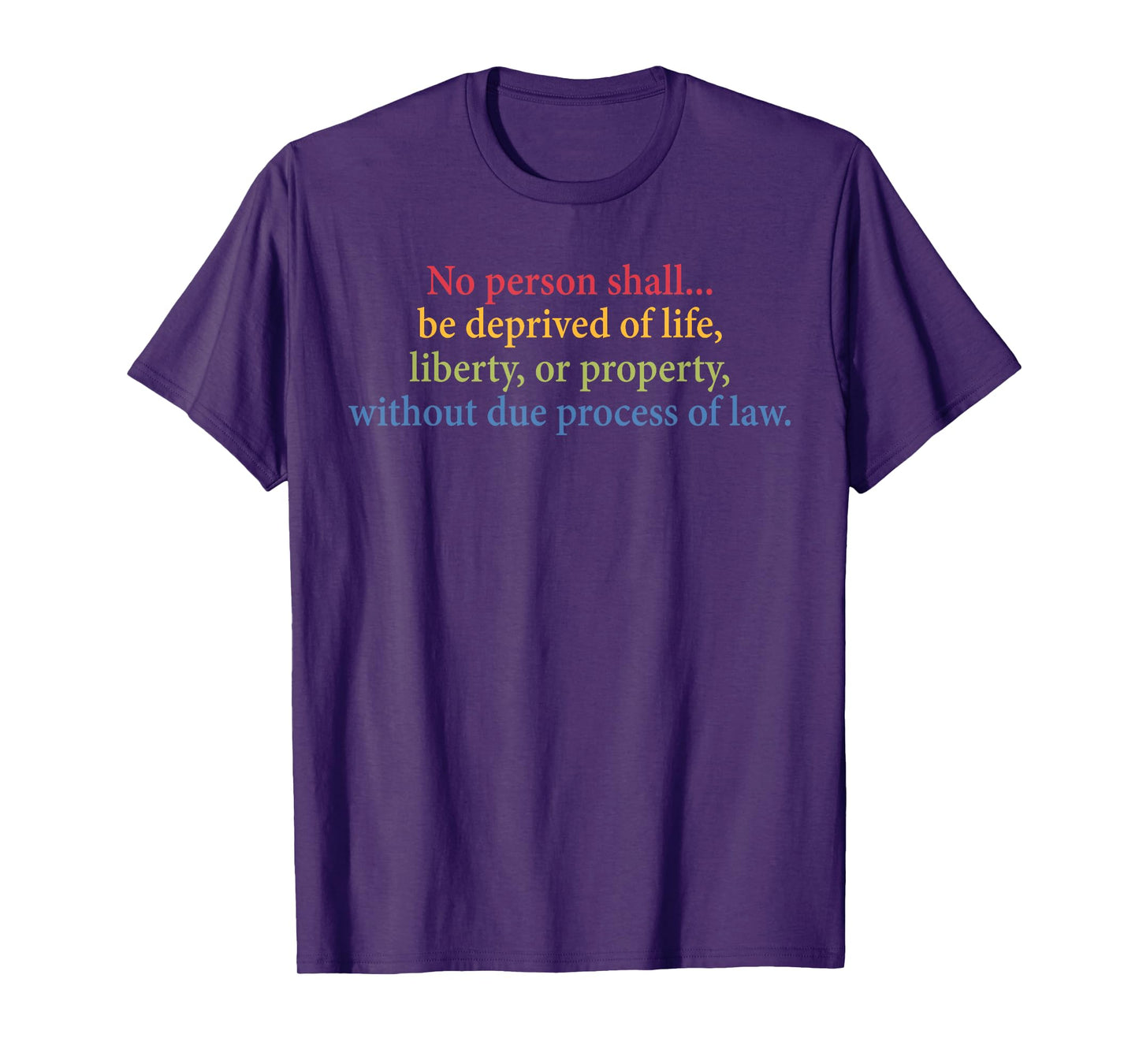 No Person Shall Be Deprived of Life Liberty Or Property. T-Shirt