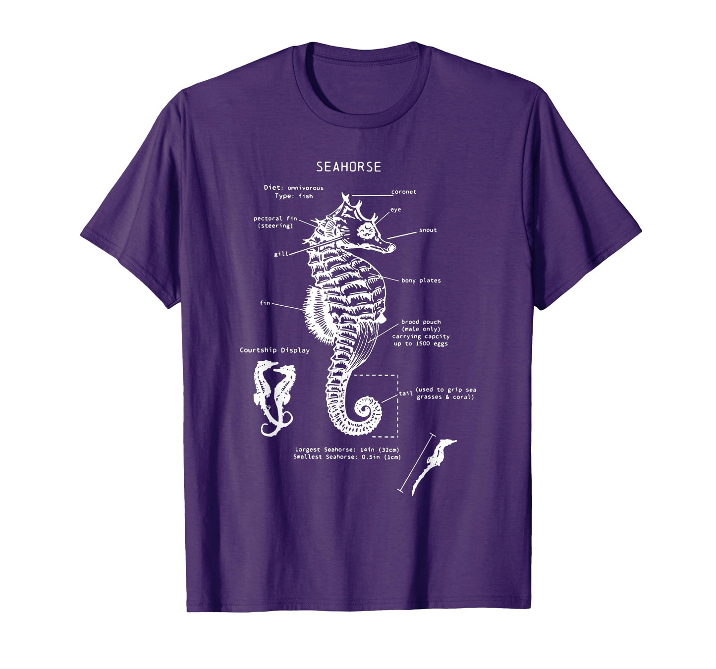 Vintage Seahorse Anatomy Ocean Animal Marine Biologist T-Shirt