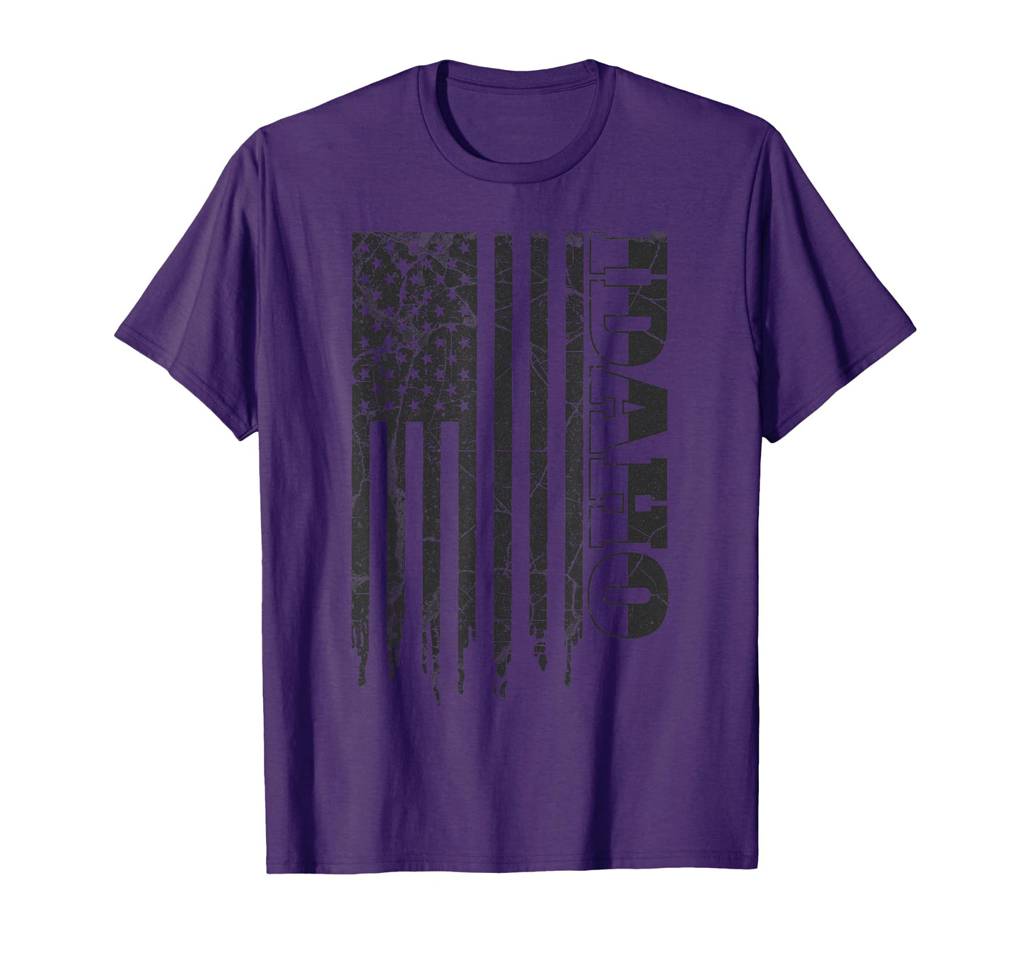 Vintage Idaho Home Pride USA Flag Iconic Idaho T-Shirt