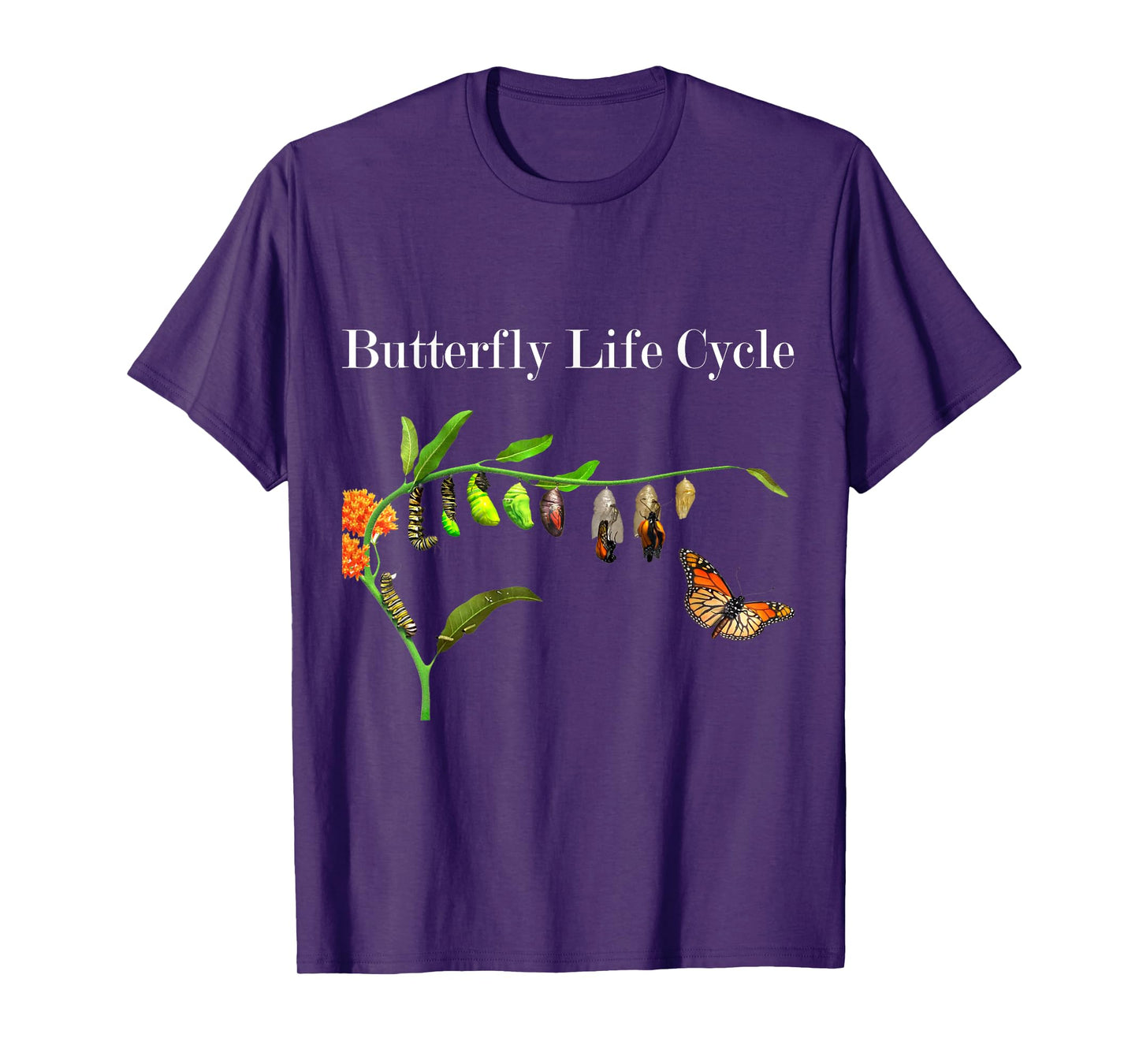 Butterfly Life Cycle Butterflies Natural Sciences Lover T-Shirt