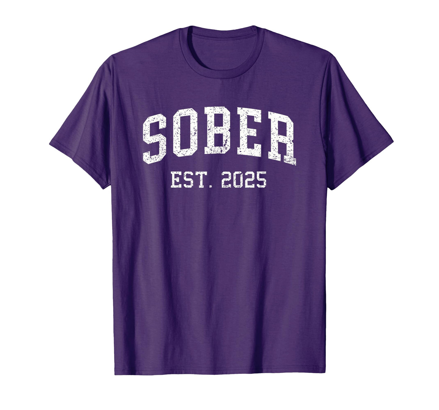 Sober est. 2025 Sobriety Anniversary Sober AA NA Recovery T-Shirt