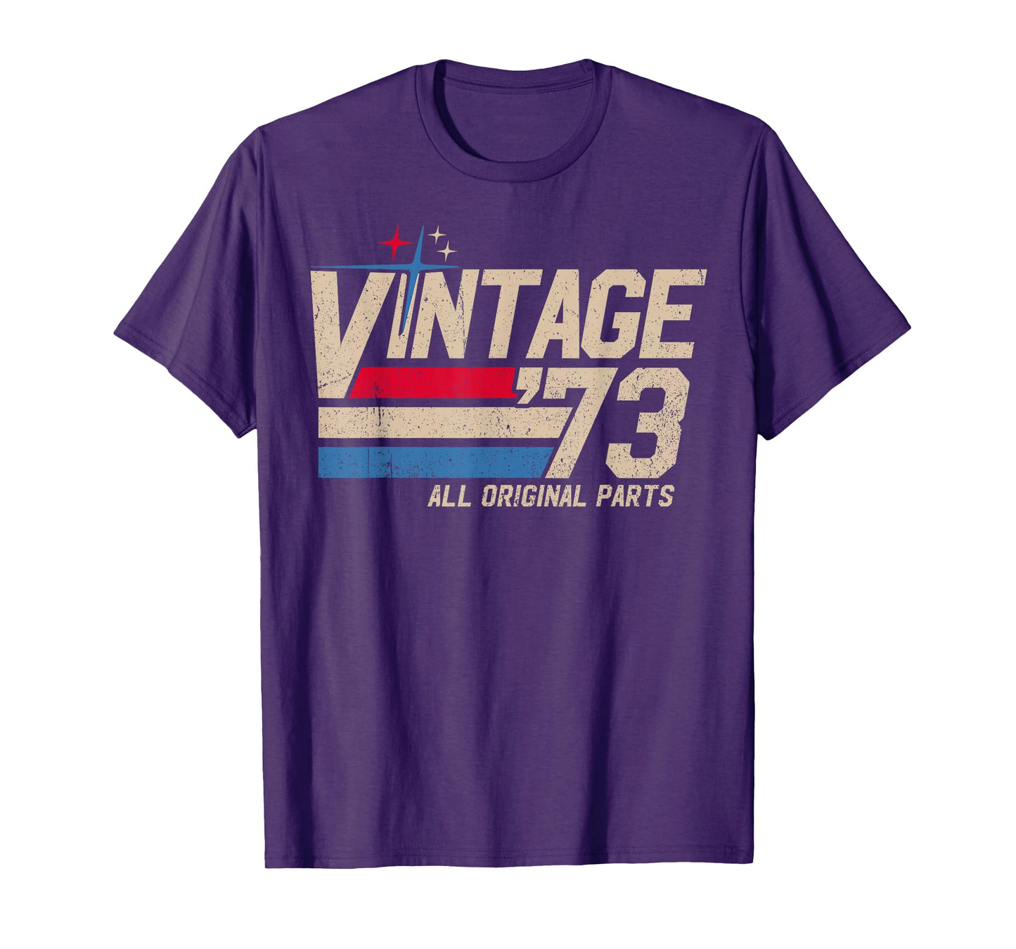 Vintage '73 Retro 52nd Birthday for Men Dad USA Since 1973 T-Shirt