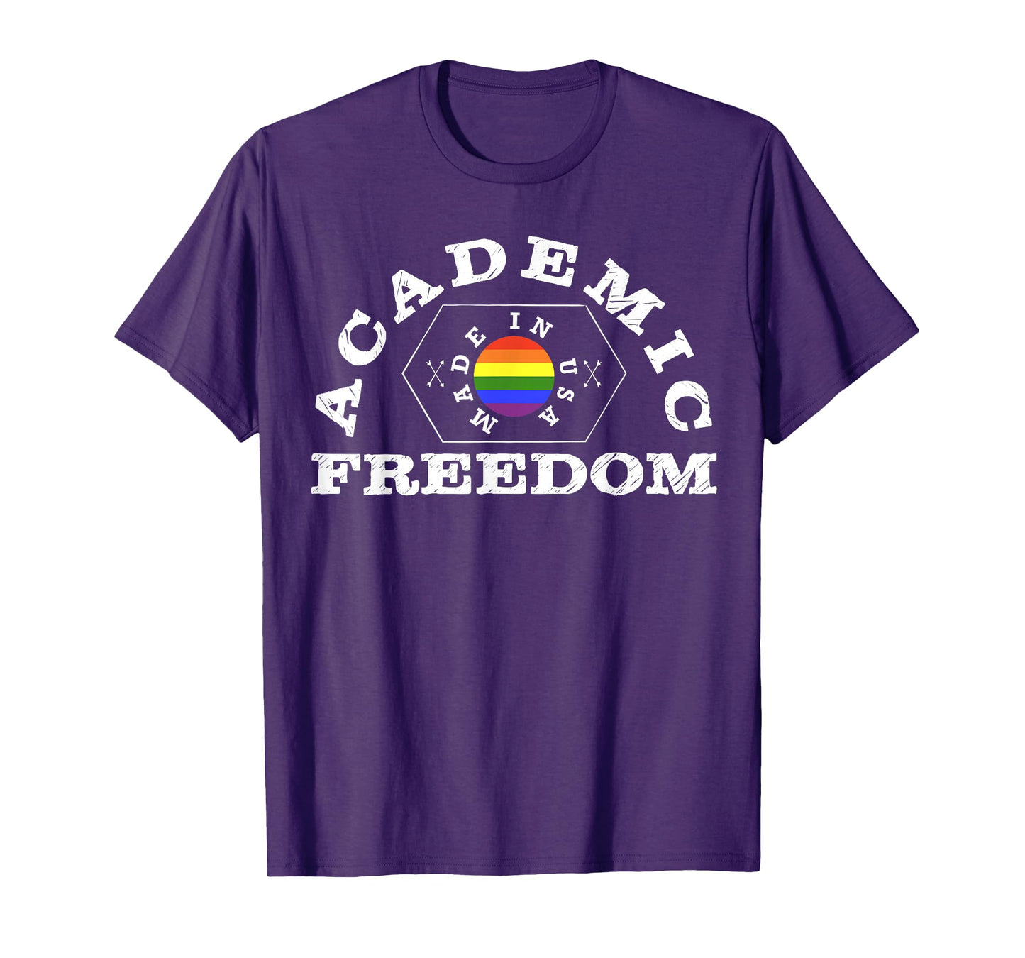 Colllege Style Academic Freedom with Pride Rainbow T-Shirt