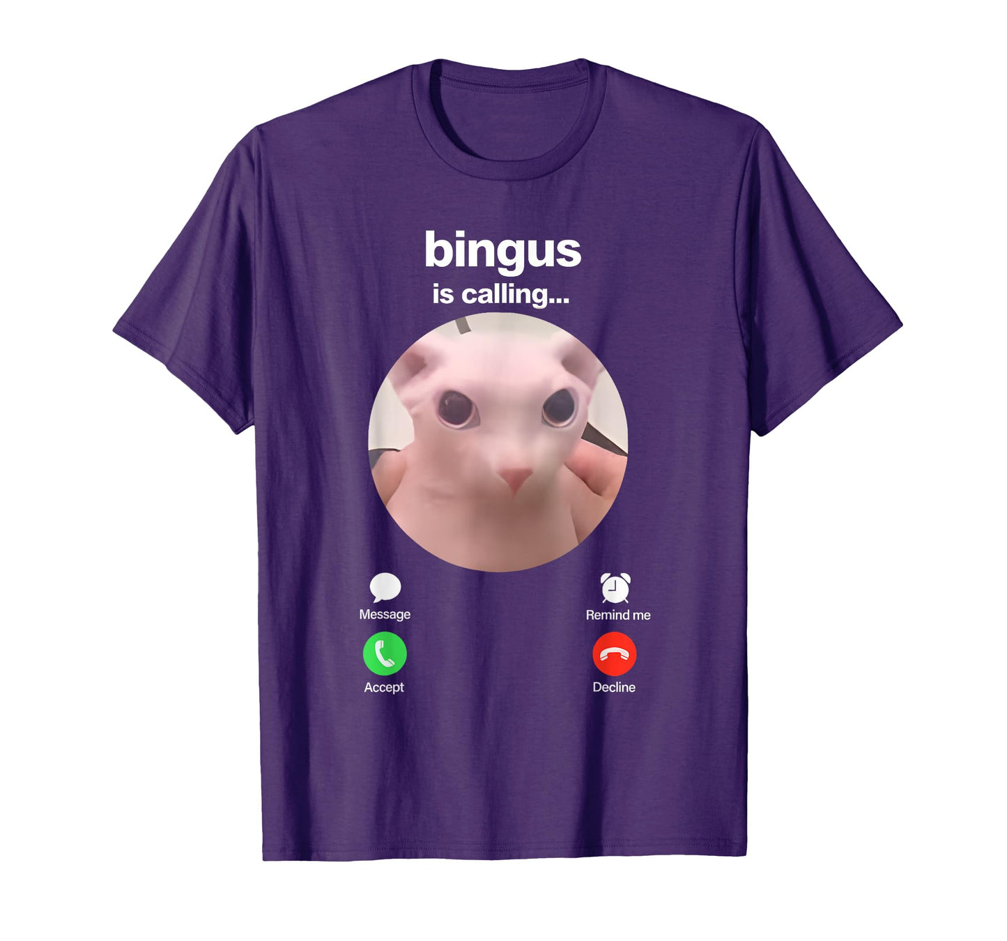 Bingus is Calling Hairless Sphinx Cat Bingus Cat Meme Gen Z T-Shirt