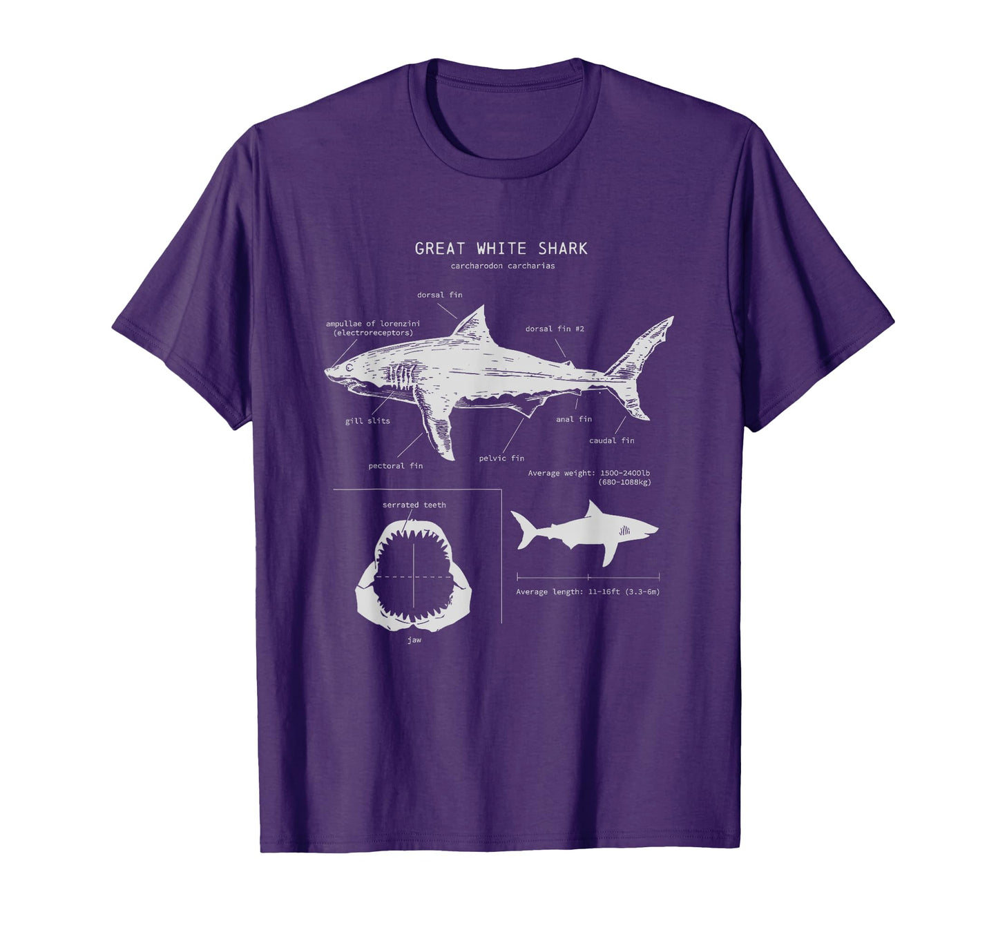 Great White Shark Anatomy , Marine Biologist T-Shirt