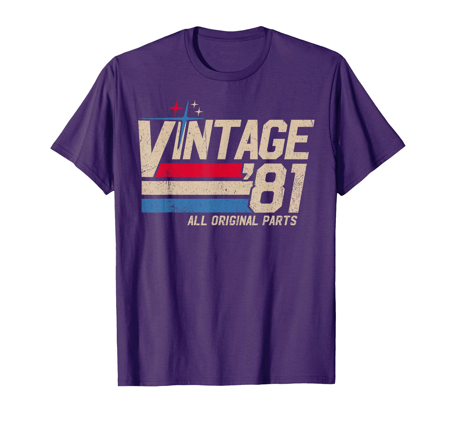 Vintage '81 Retro 44th Birthday for Men Dad USA Since 1981 T-Shirt