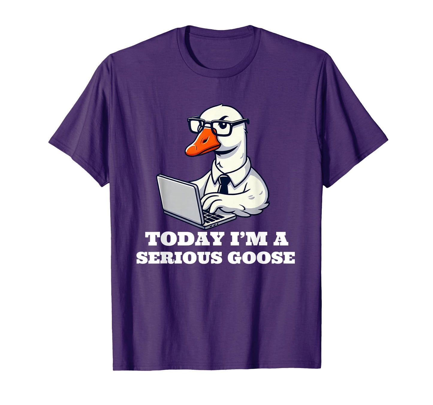 Today I'm a Serious Goose Funny Silly Goose T-Shirt