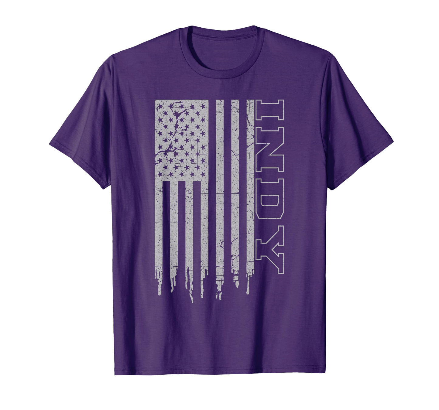 Vintage Indianapolis Patriotic USA Flag Pride Iconic Indy T-Shirt