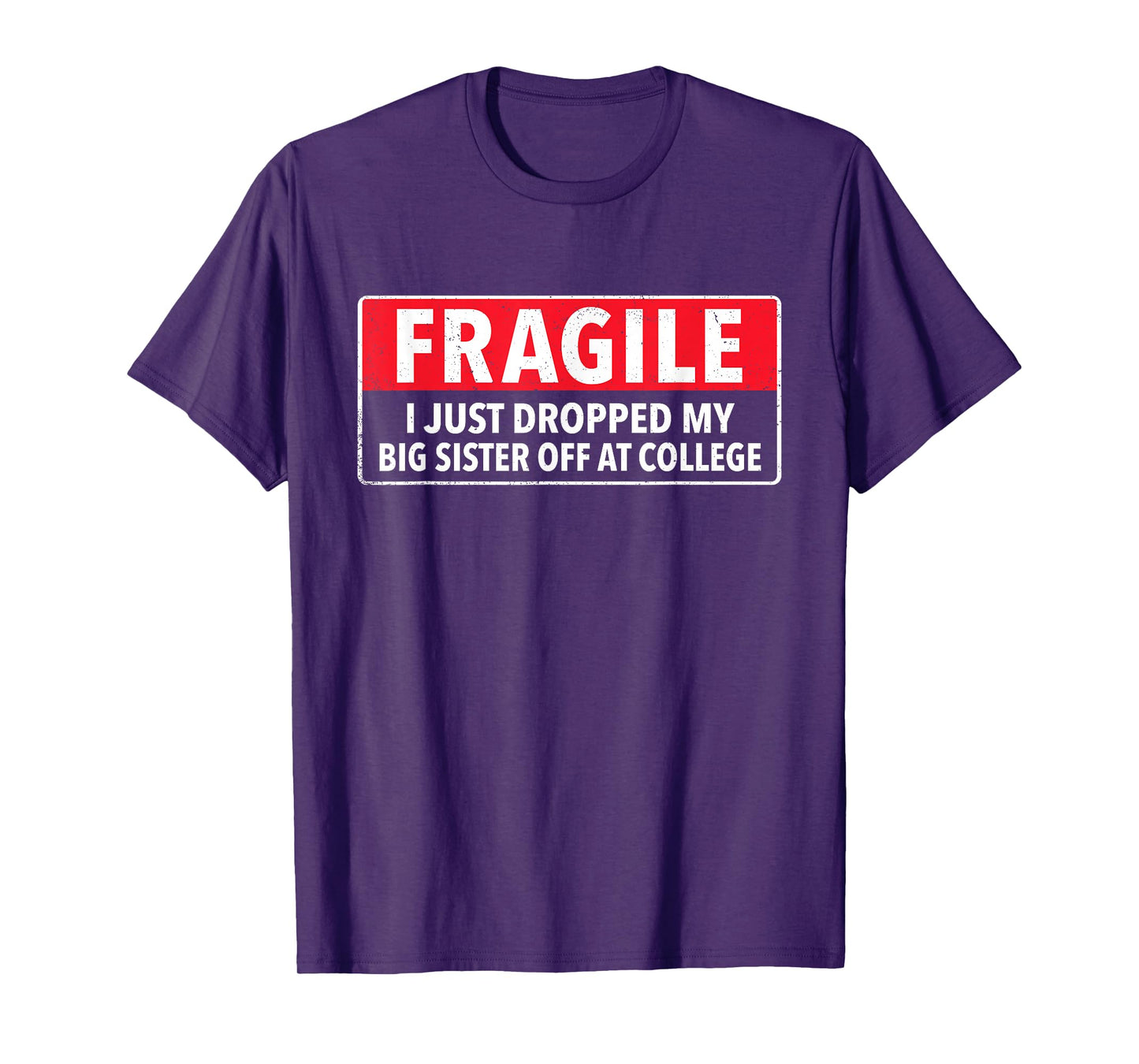 Fragile I Just Dropped My Big Sister Off at College Sibling T-Shirt
