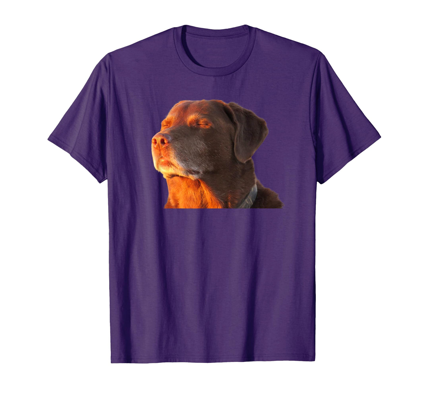Cooked Dog Accepting Fate Closing His Eyes Funny Dog Meme T-Shirt