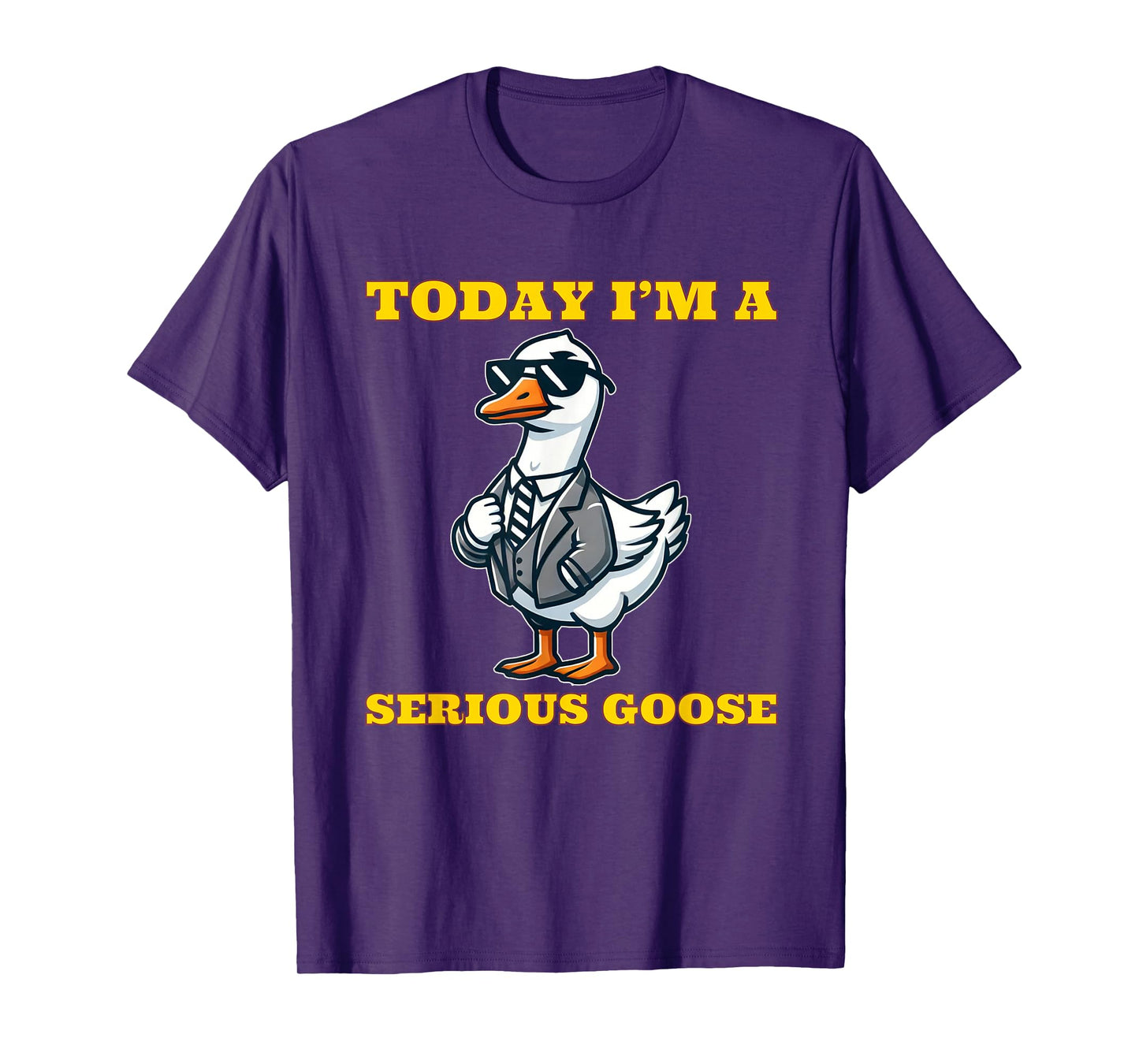 Today I'm a Serious Goose Funny Silly Goose T-Shirt