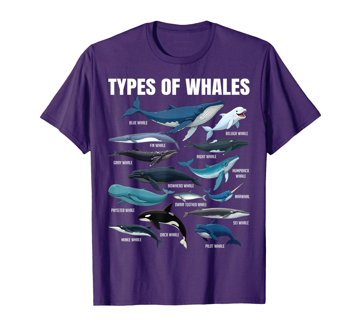 Types of Whales Educational Marine Life Enthusiast Biologist T-Shirt