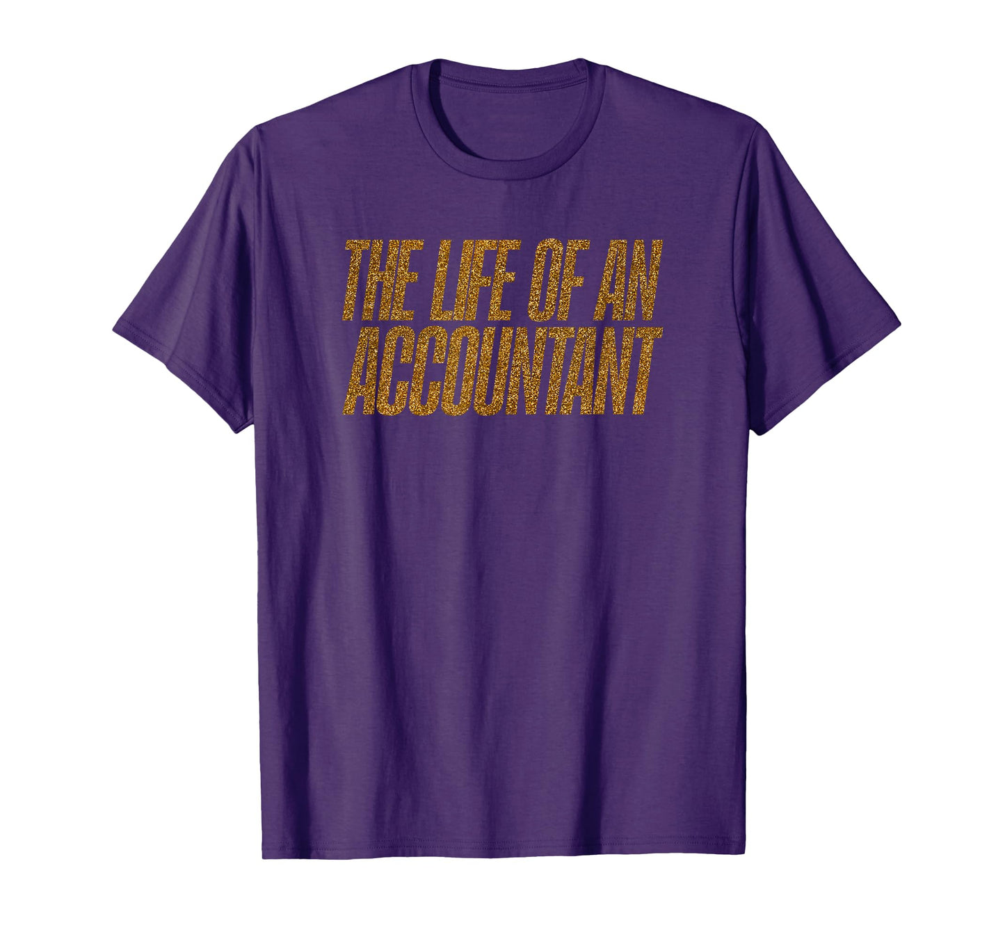 The Life of an Accountant Funny T-Shirt