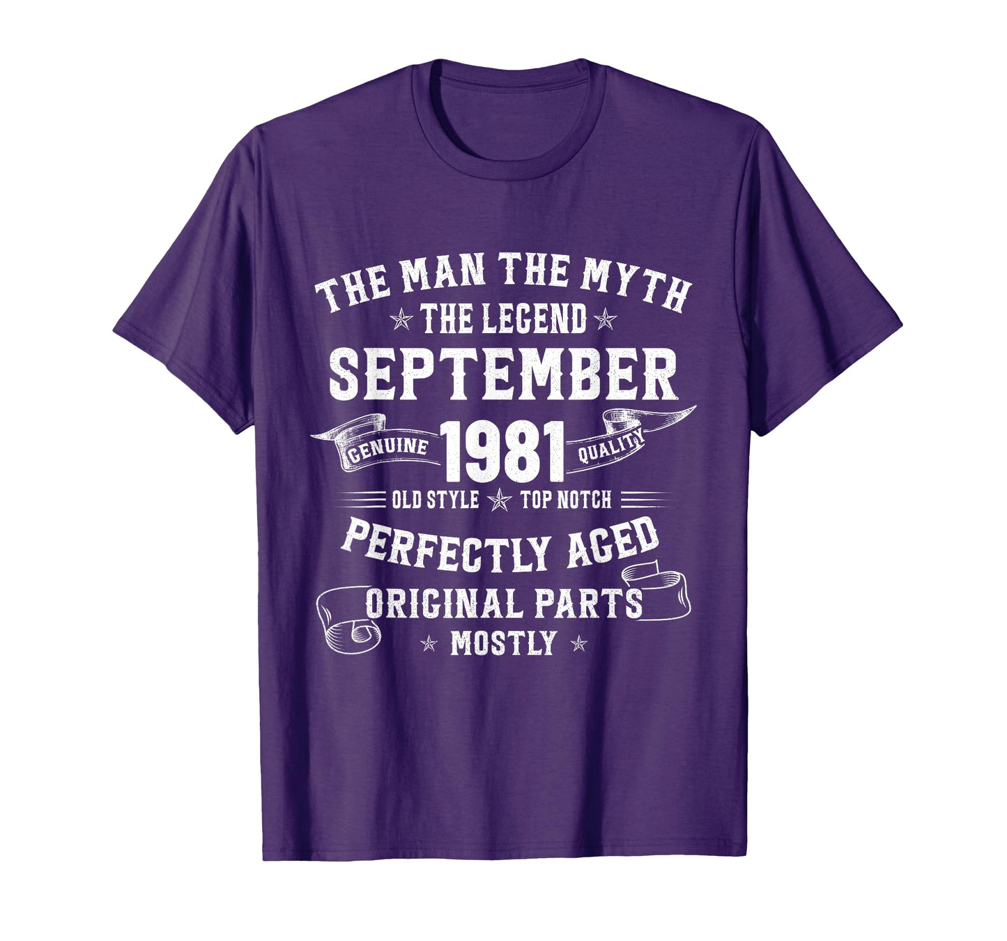 44 Year Old Birthday Gifts For Men September 1981 44th Bday T-Shirt