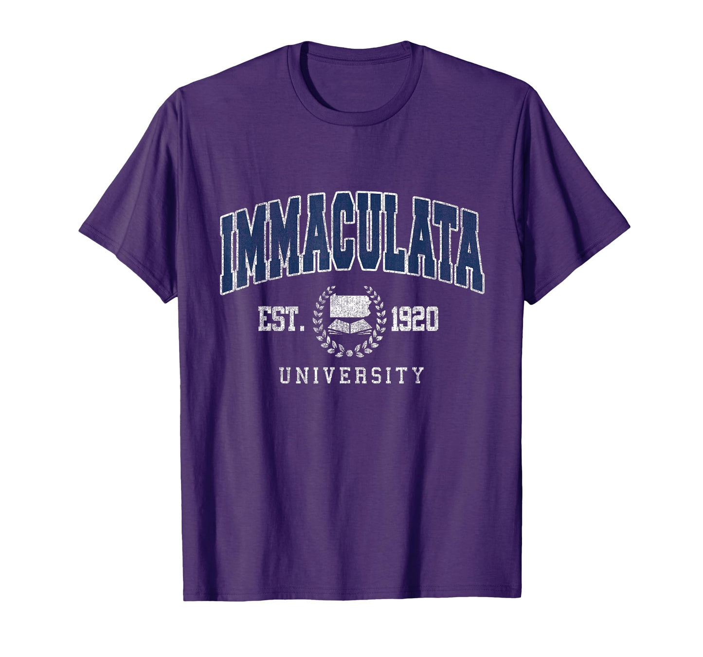 Immaculata Arch Vintage Athletic Sports Tee for Men Women T-Shirt