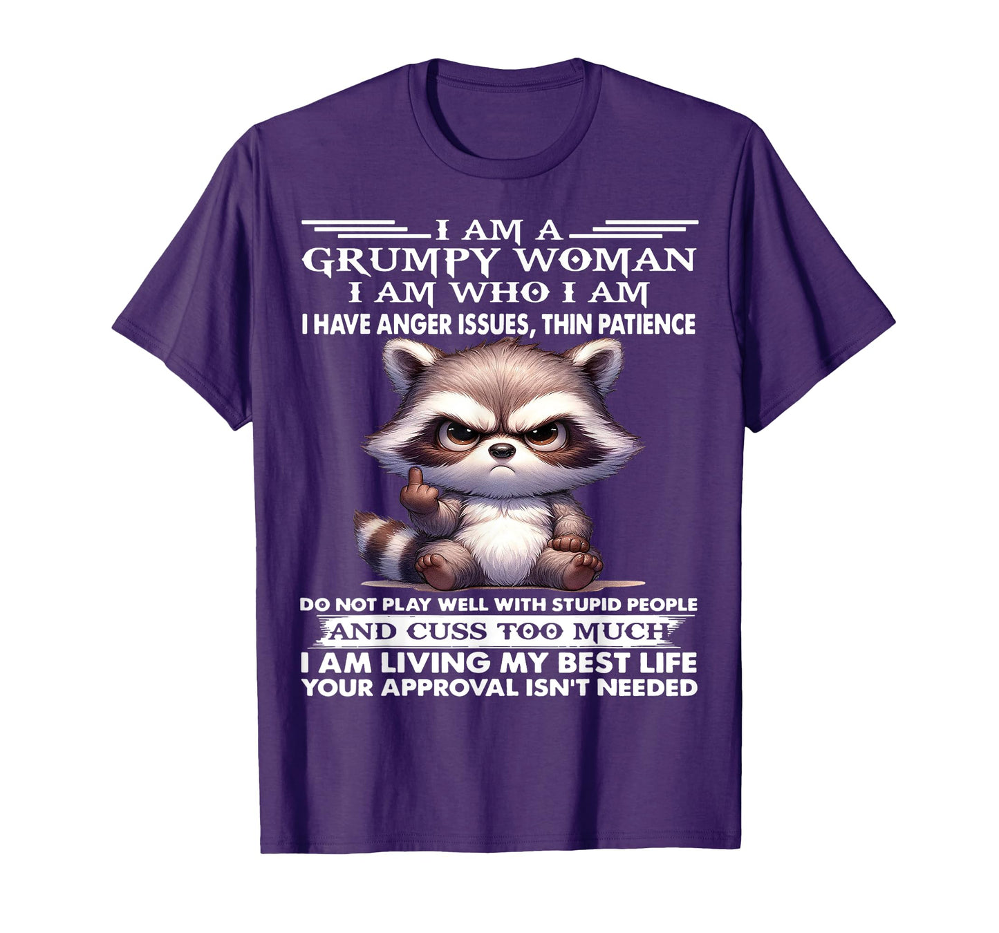Cute Raccoon I Am A Grumpy Old Woman I Have Anger Issues T-Shirt