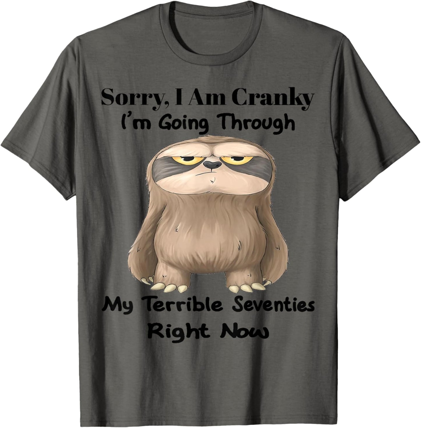 Cute Sloth Sorry I Am Cranky I'm Going Through T-Shirt