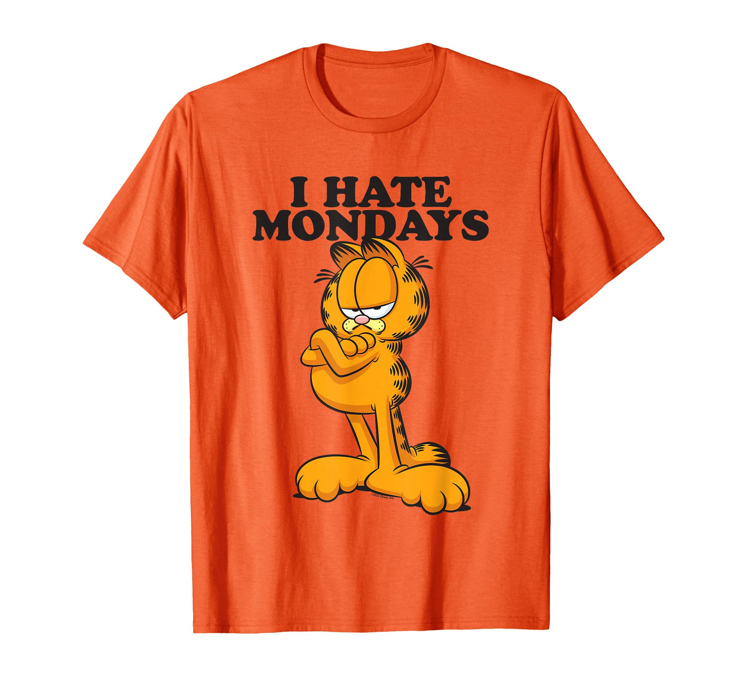 Garfield I Hate Mondays T-Shirt