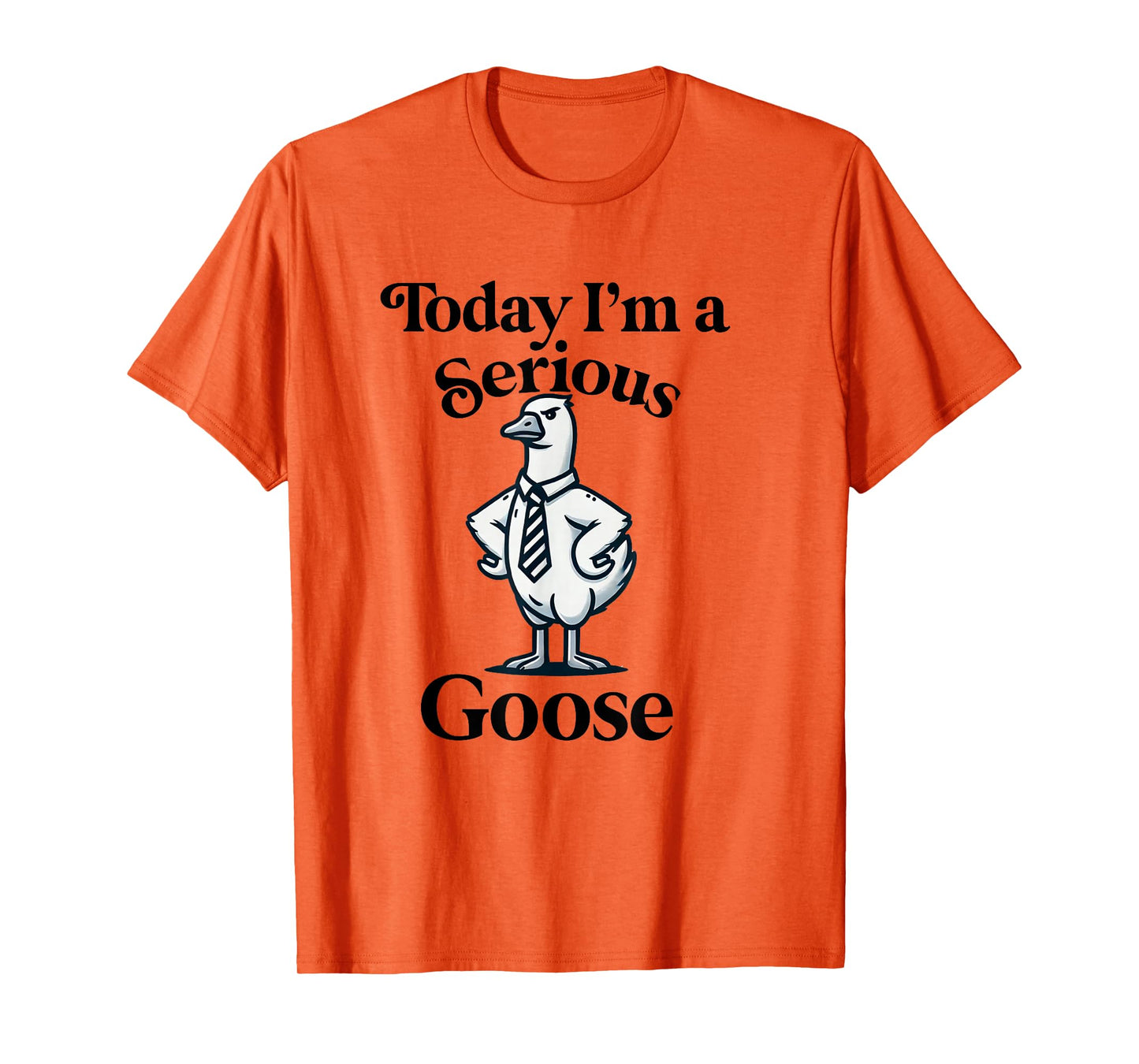 Today I'm a Serious Goose Funny Silly Goose T-Shirt