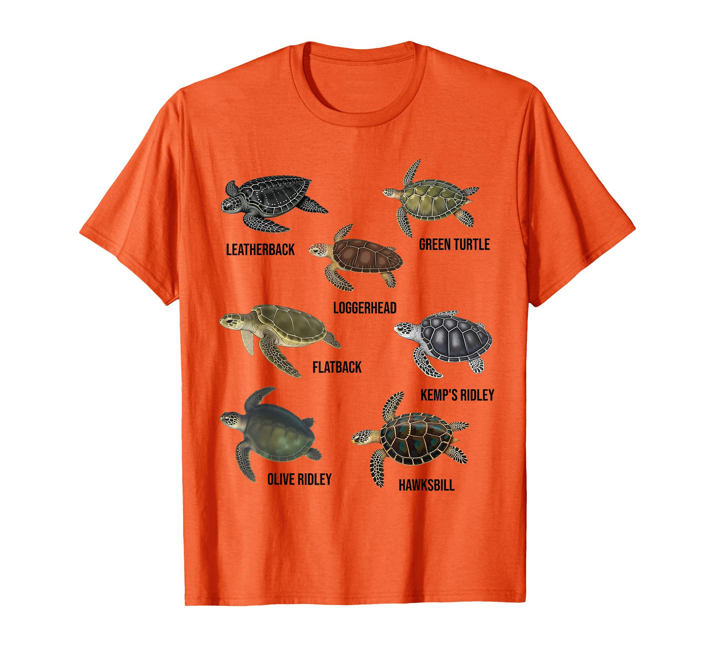Types of Sea Turtles Marine Turtle Species Educational Chart T-Shirt
