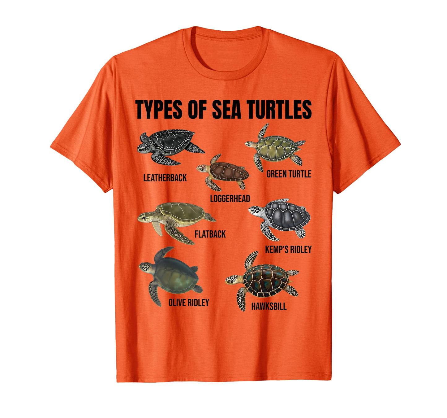 Types of Sea Turtles Marine Turtle Species Educational Chart T-Shirt
