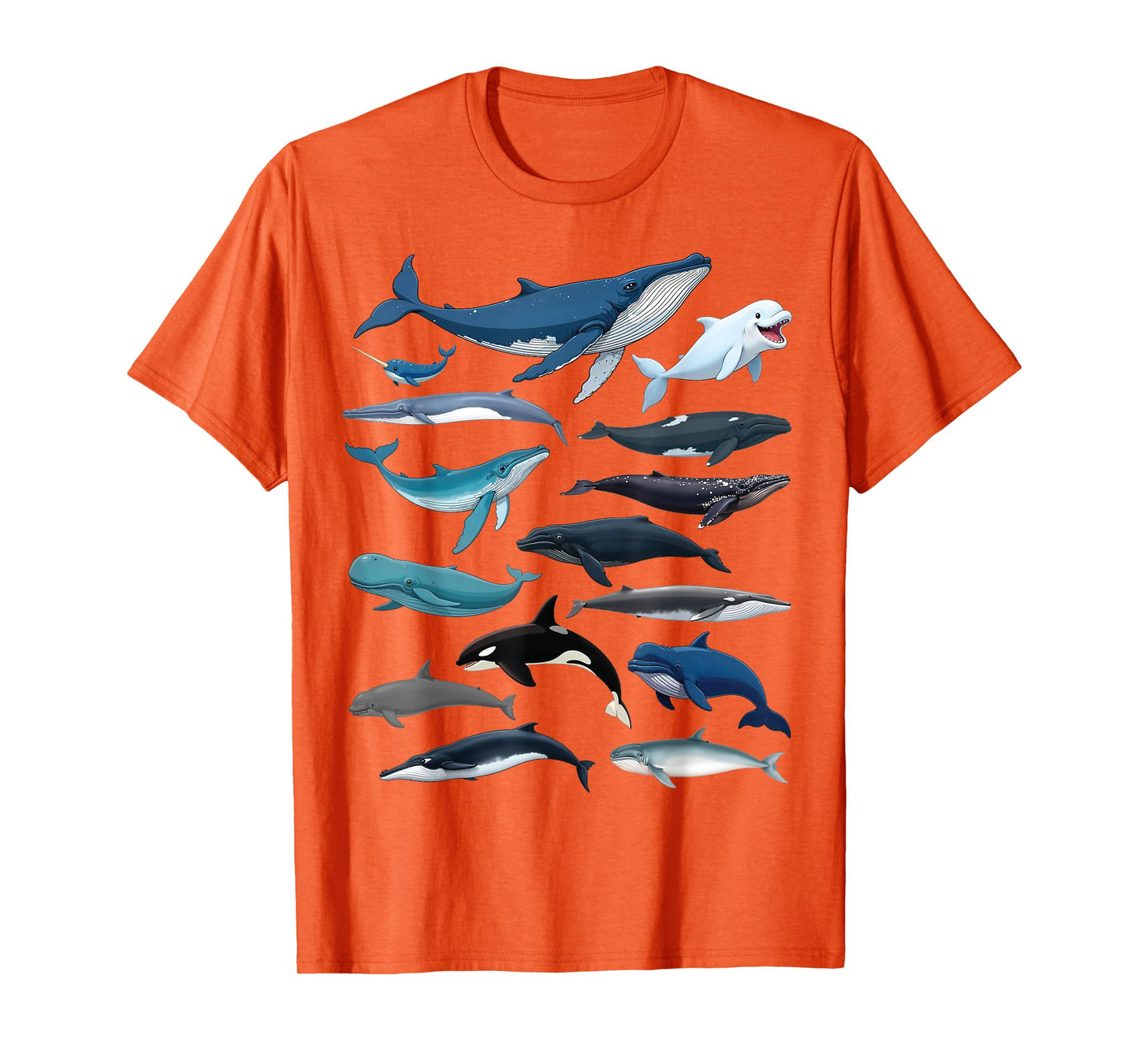 Types of Whales Educational Marine Life Enthusiast Biologist T-Shirt