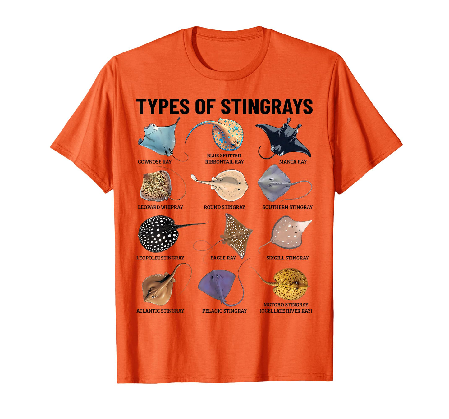 Types of Stingray Ocean Life Stingray Species Educational T-Shirt