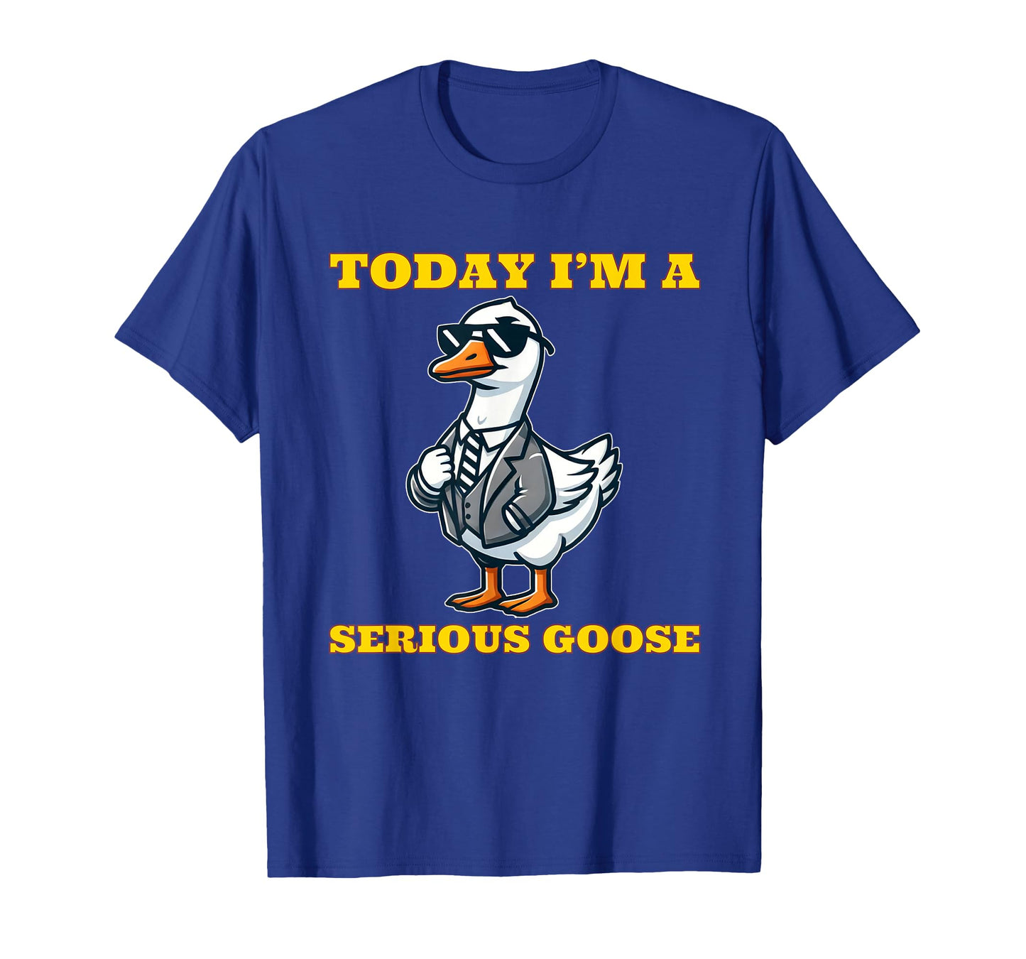 Today I'm a Serious Goose Funny Silly Goose T-Shirt