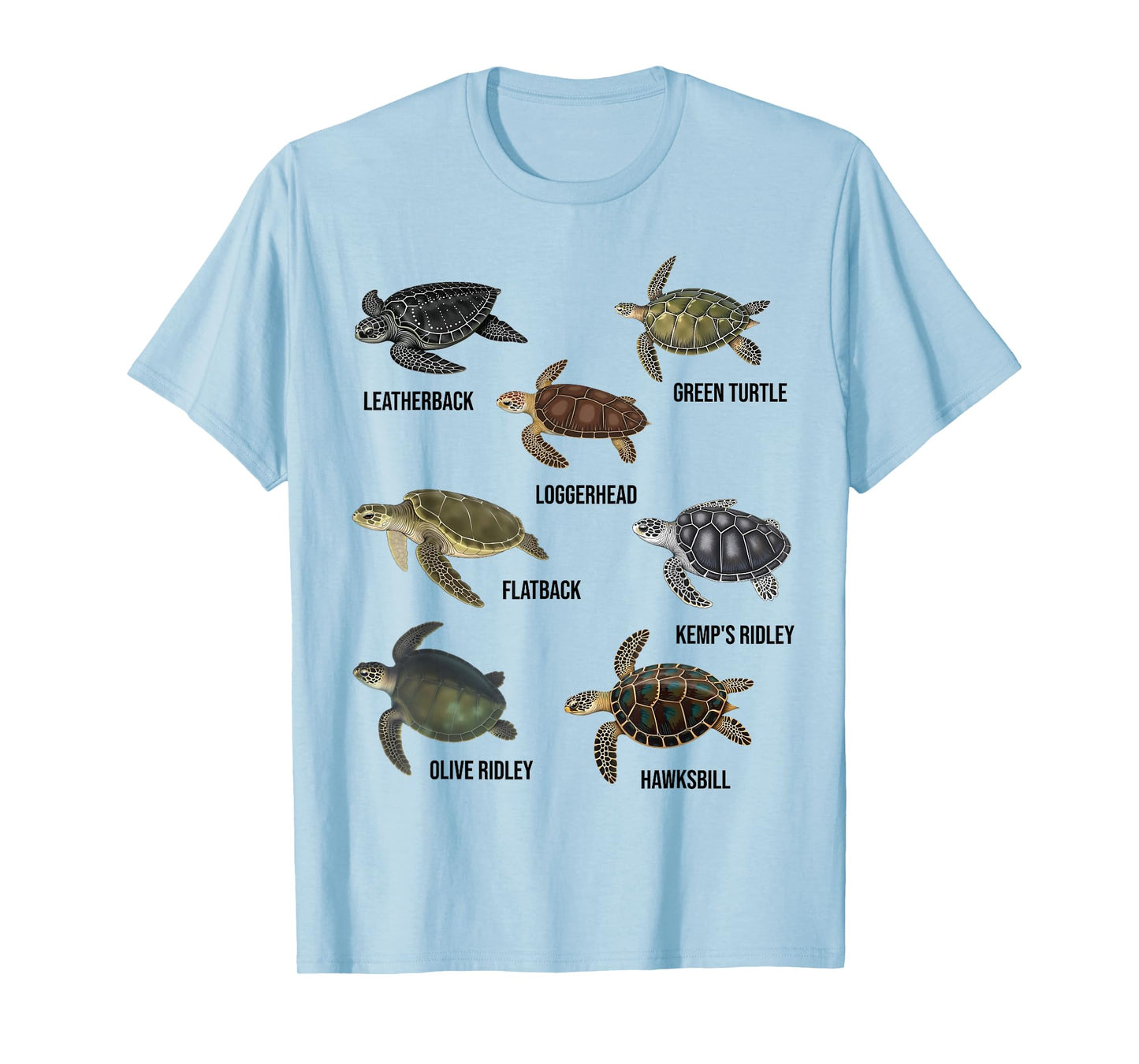Types of Sea Turtles Marine Turtle Species Educational Chart T-Shirt