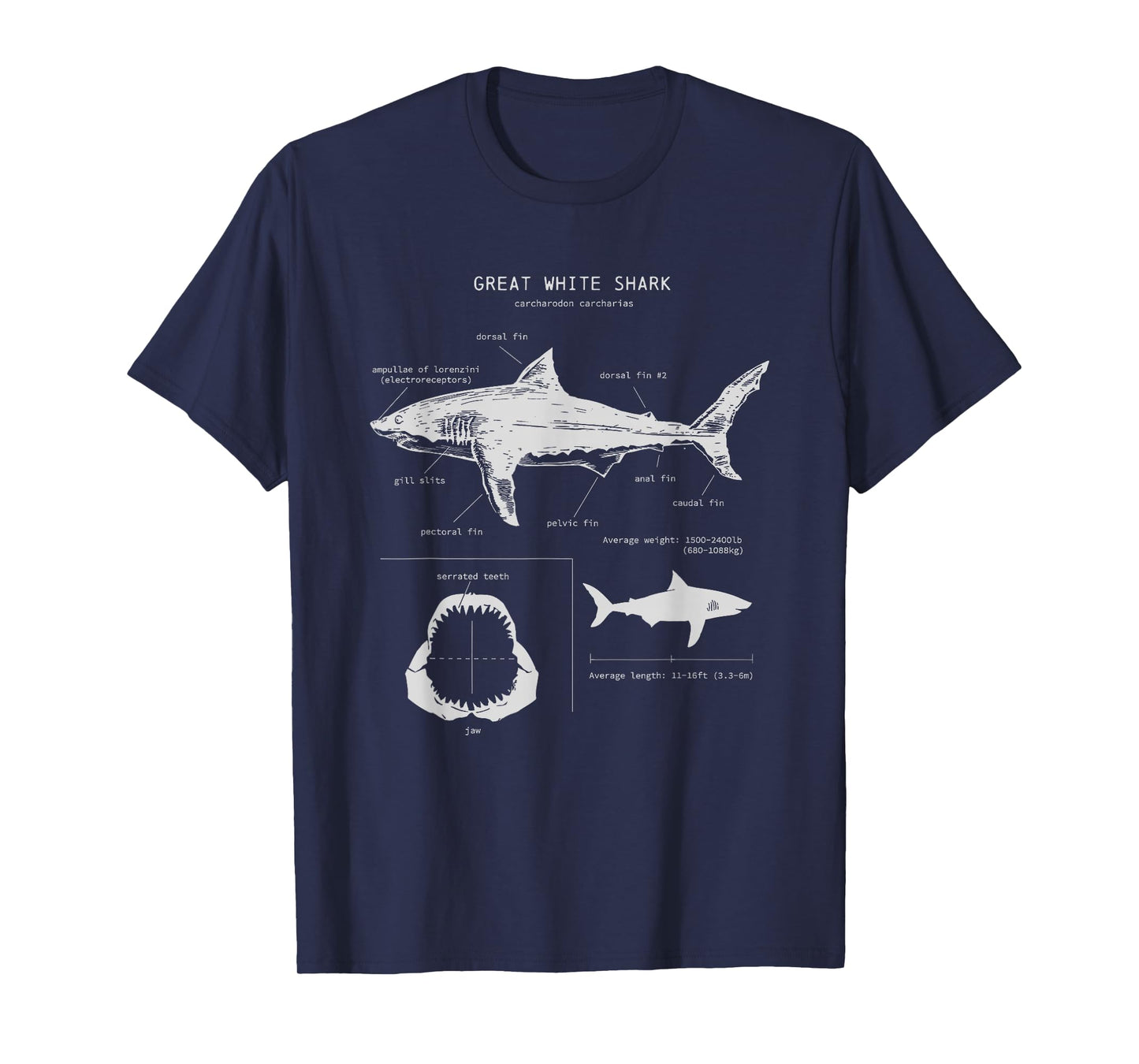 Great White Shark Anatomy , Marine Biologist T-Shirt