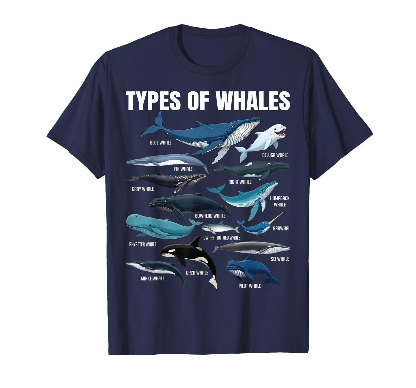 Types of Whales Educational Marine Life Enthusiast Biologist T-Shirt