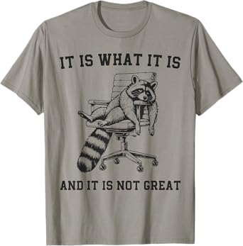 Raccoon It Is What It Is And It Is Not Great T-Shirt