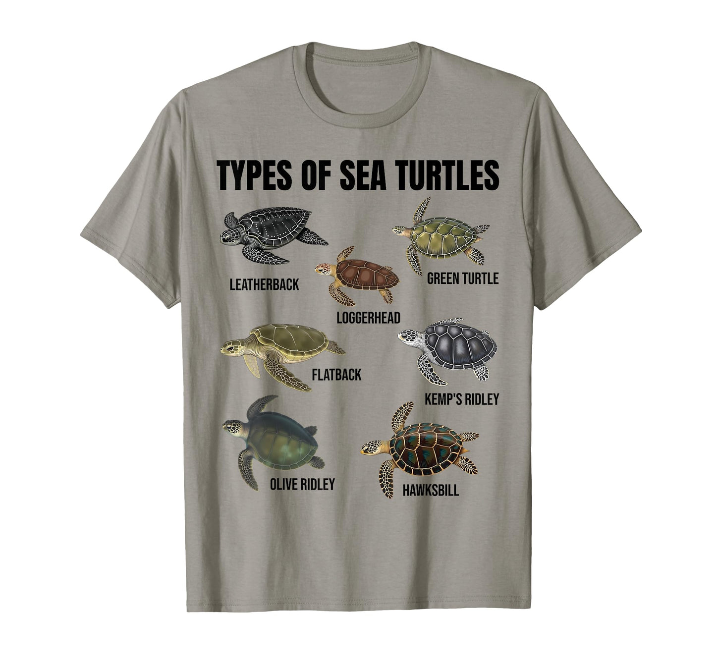 Types of Sea Turtles Marine Turtle Species Educational Chart T-Shirt