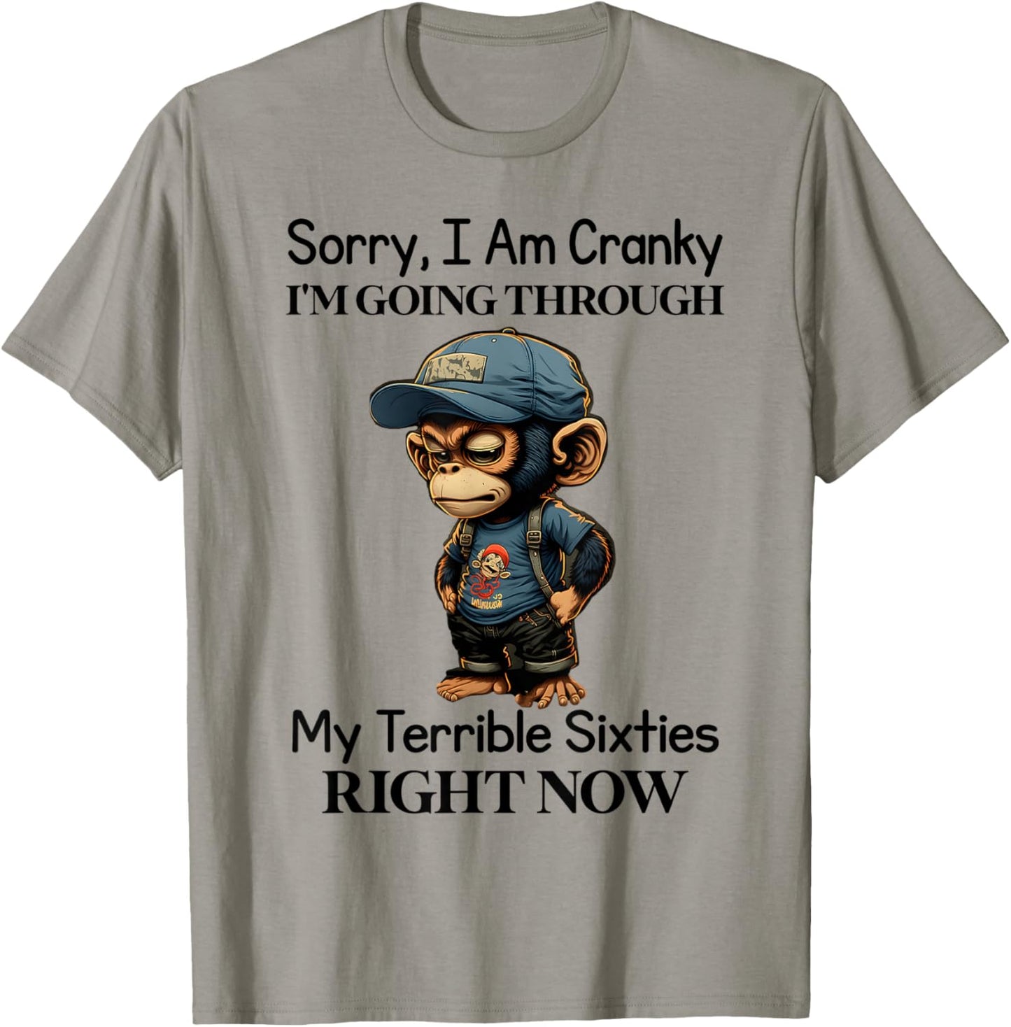 Sorry I'm cranky I'm going through my terrible sixties right T-Shirt