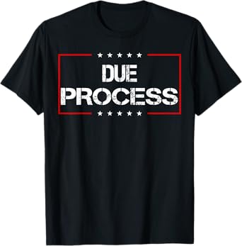 Due Process Political Protest For Men Wonmen T-Shirt