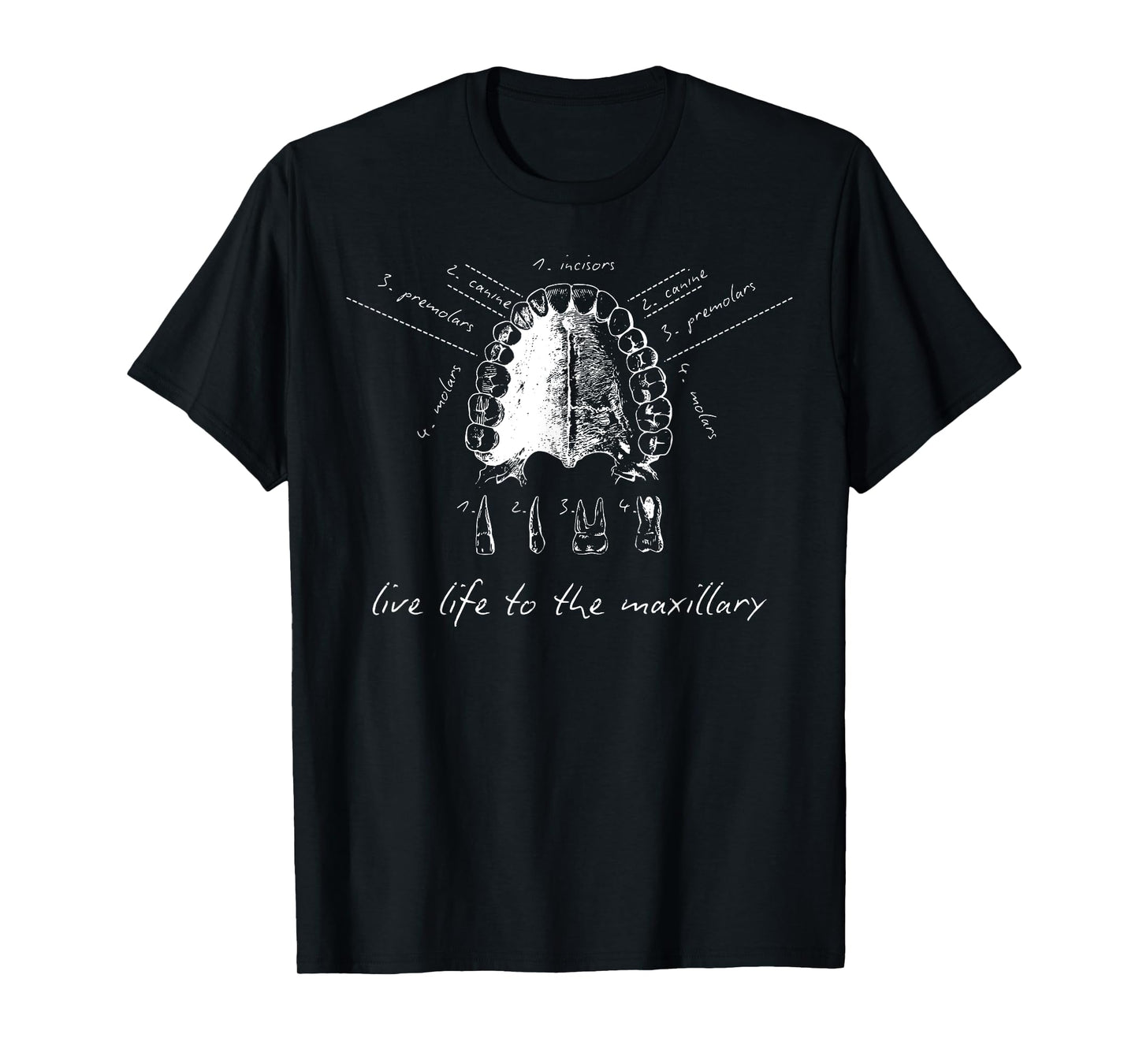 Live Life To The Maxillary Dental Anatomy Tooth Hygiene Grad T-Shirt