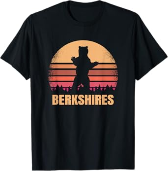 Berkshires Massachusetts Vintage Bear MA Distressed Sunset T-Shirt